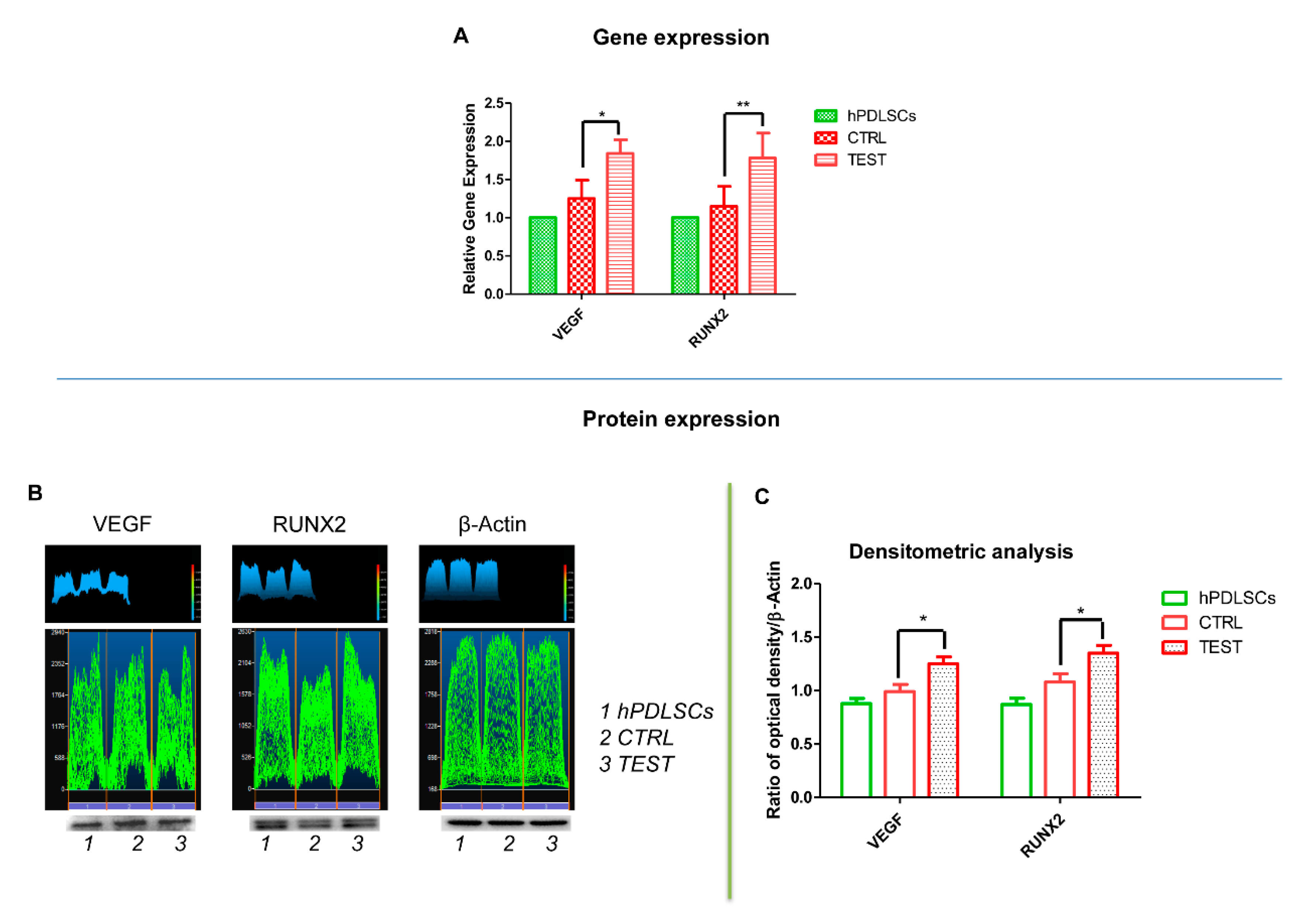 Materials 13 00706 g008 Materials 13 00706 g008