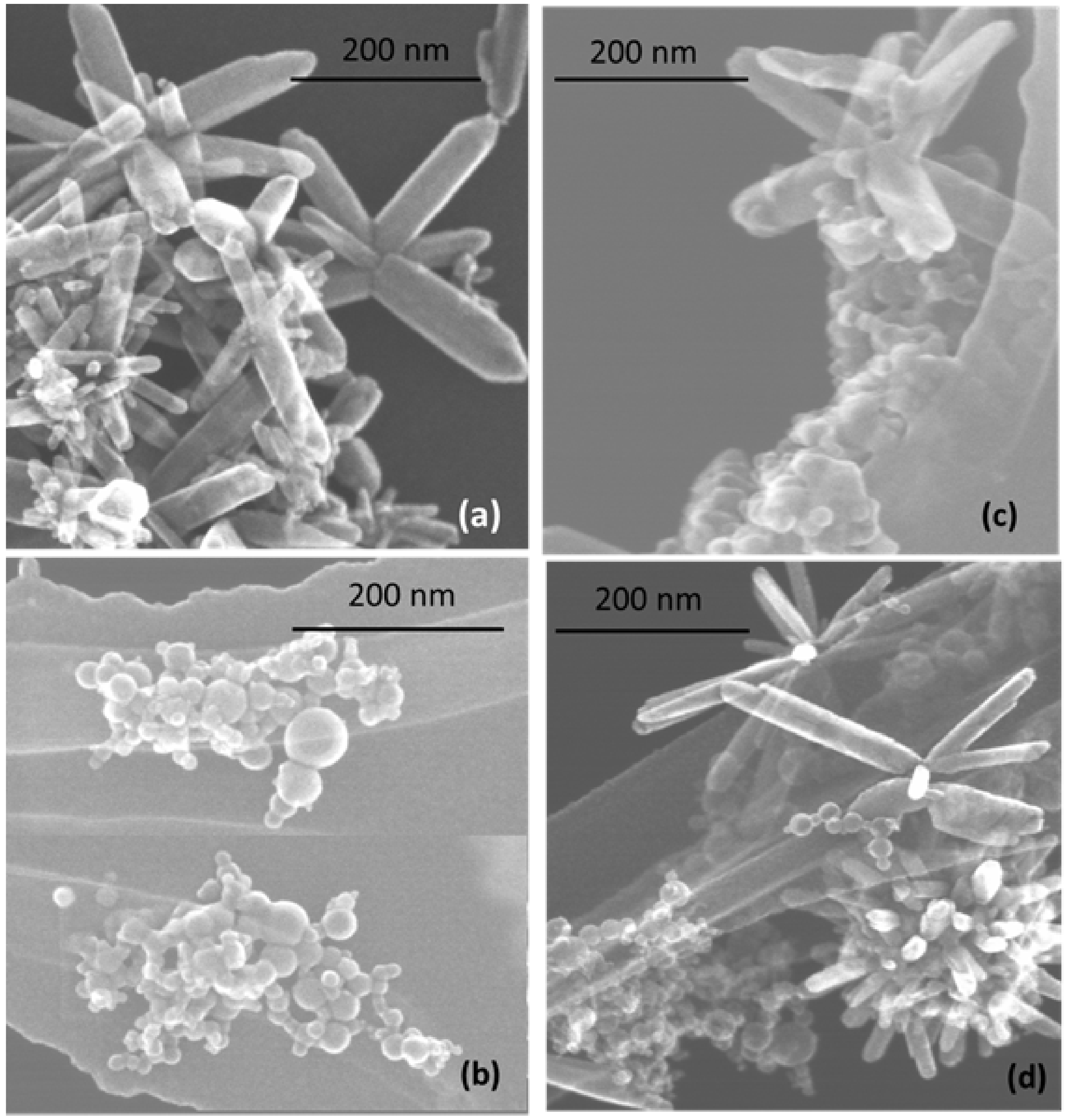 Materials 13 00719 g002 Materials 13 00719 g002