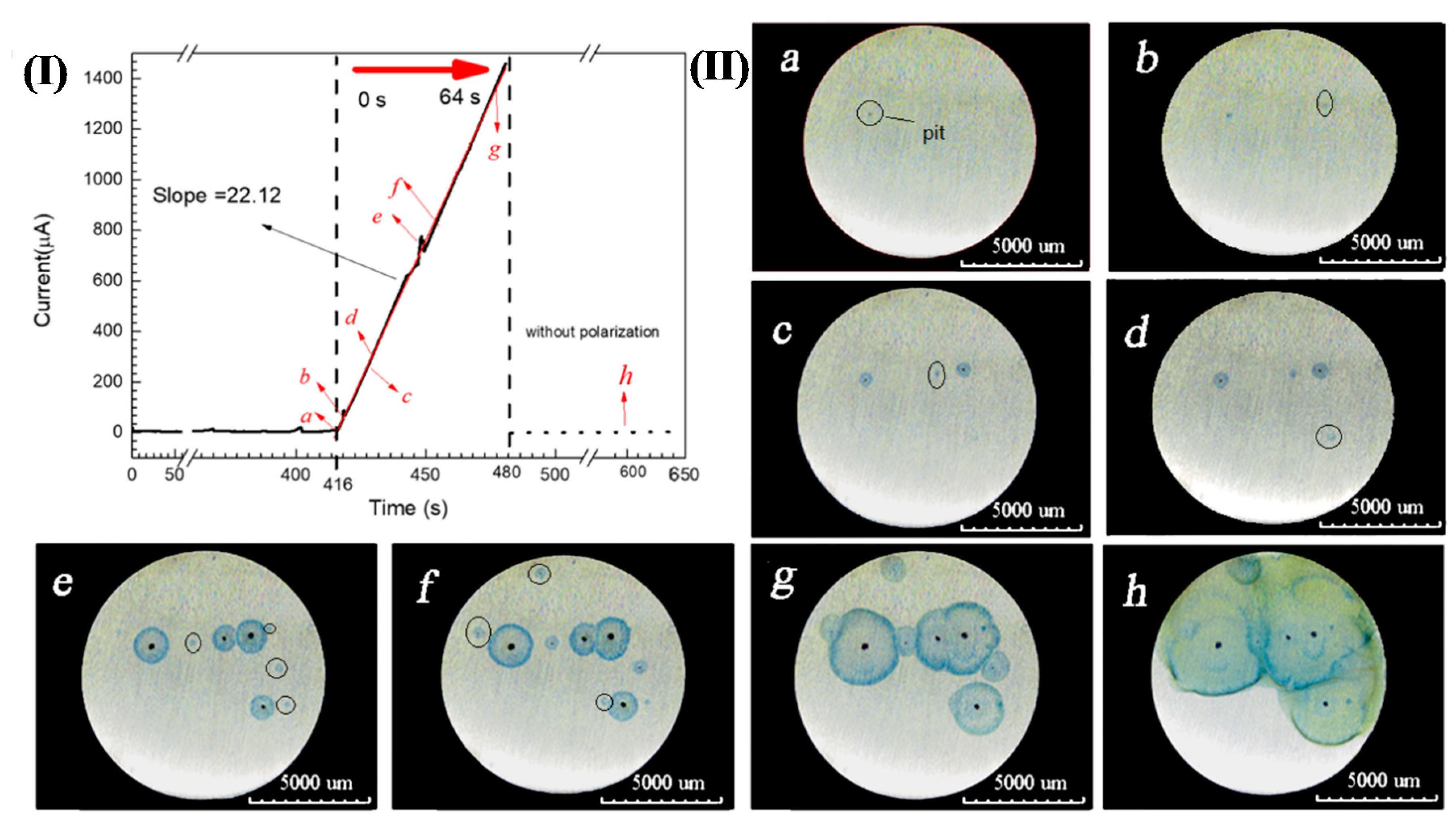 Materials 13 00726 g003 Materials 13 00726 g003