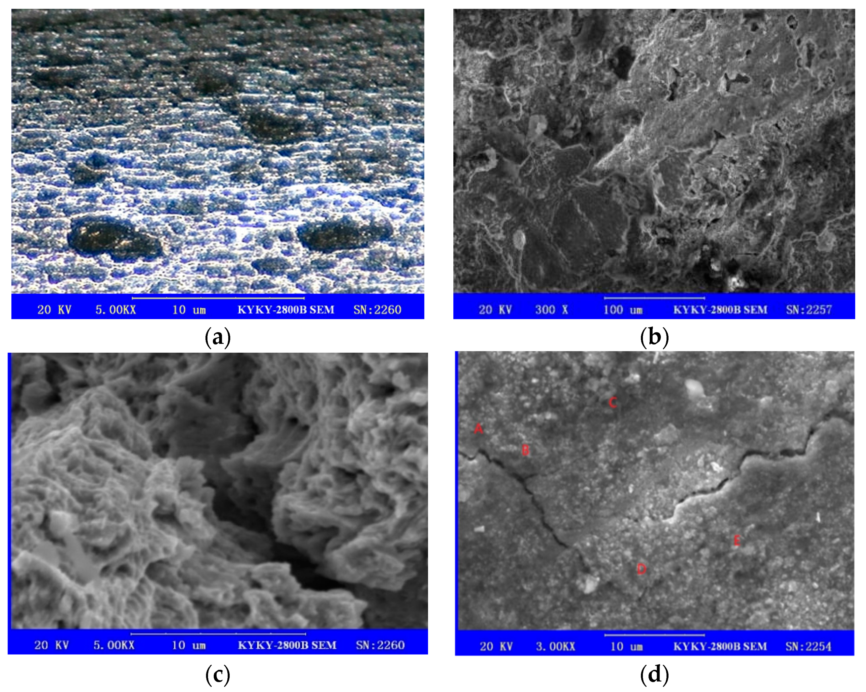 Materials 13 00736 g004