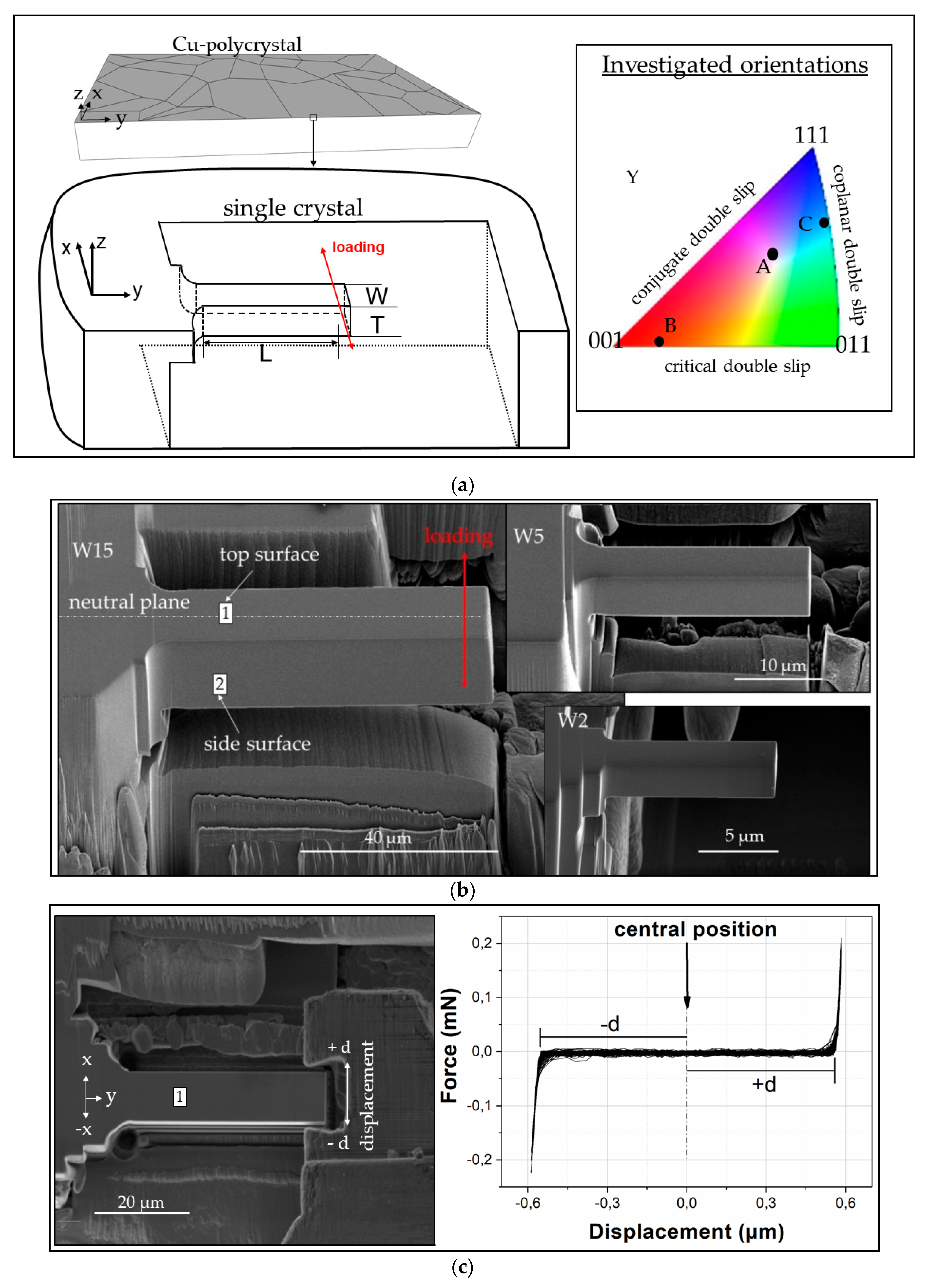 Materials 13 00741 g001 Materials 13 00741 g001