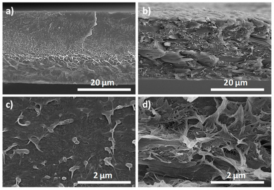 Materials Free Full Text Electroactive G Phase Enhanced Thermal And Mechanical Properties And High Ionic Conductivity Response Of Poly Vinylidene Fluoride Cellulose Nanocrystal Hybrid Nanocomposites Html