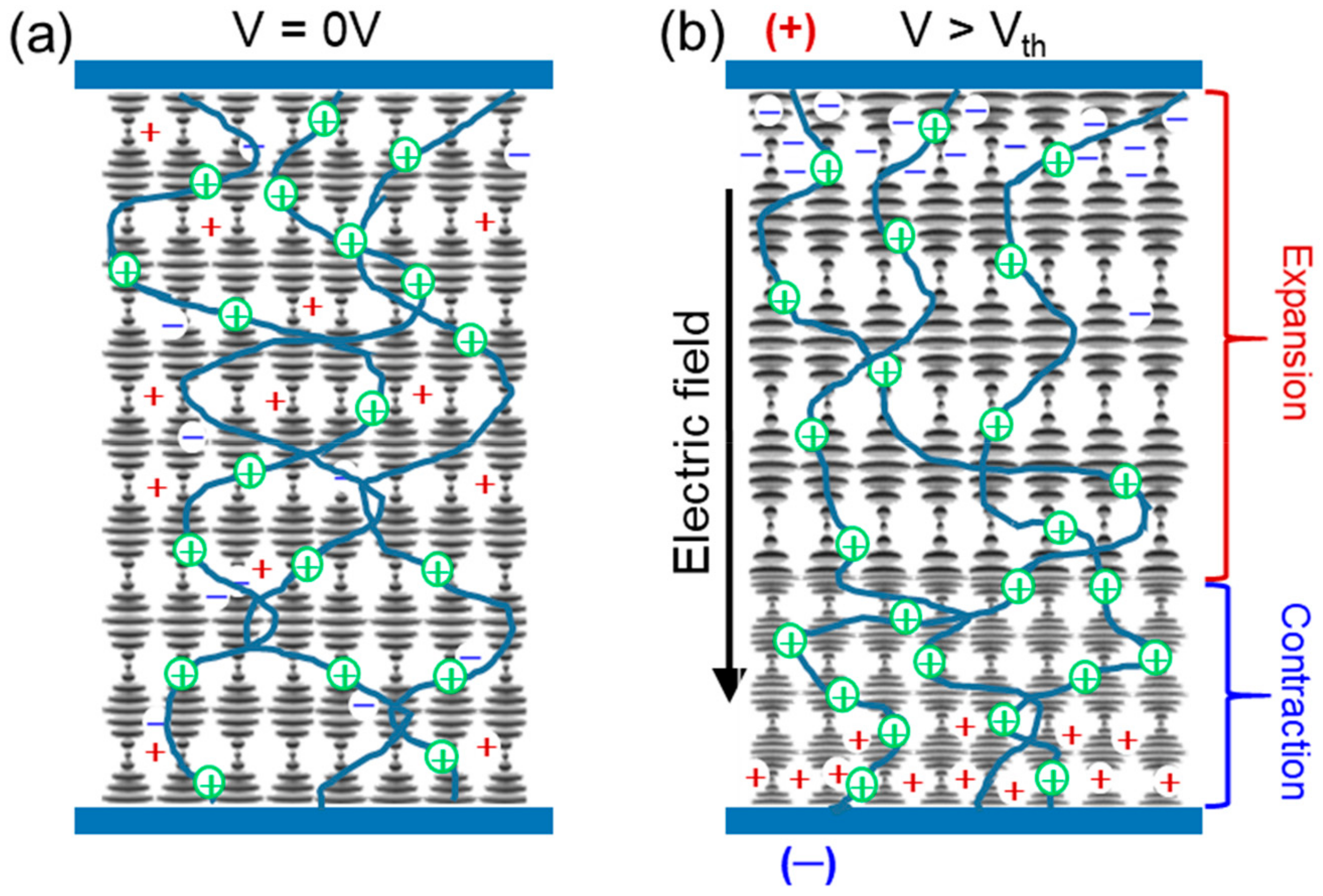 Materials Free FullText Effect of Cell Thickness on the Electro