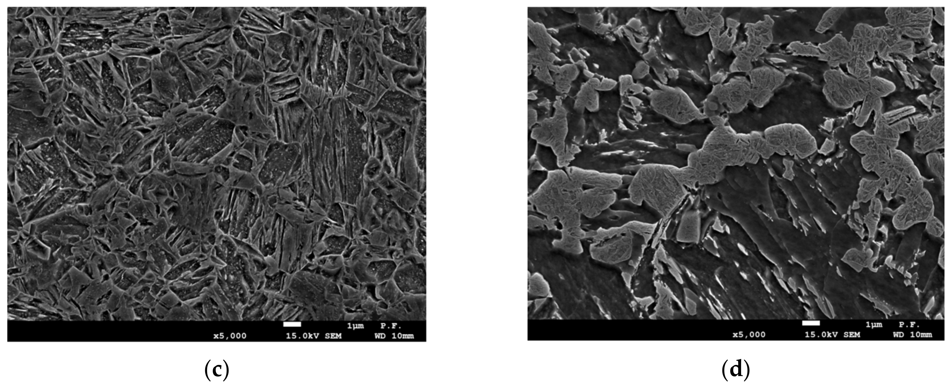 Materials 13 00747 g006b