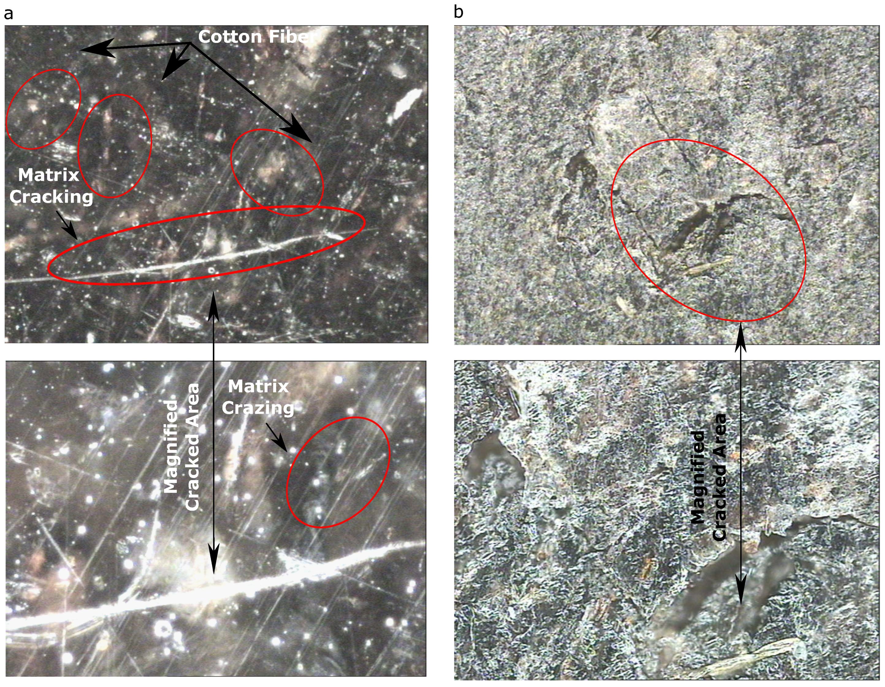 Materials 13 00753 g010 Materials 13 00753 g010