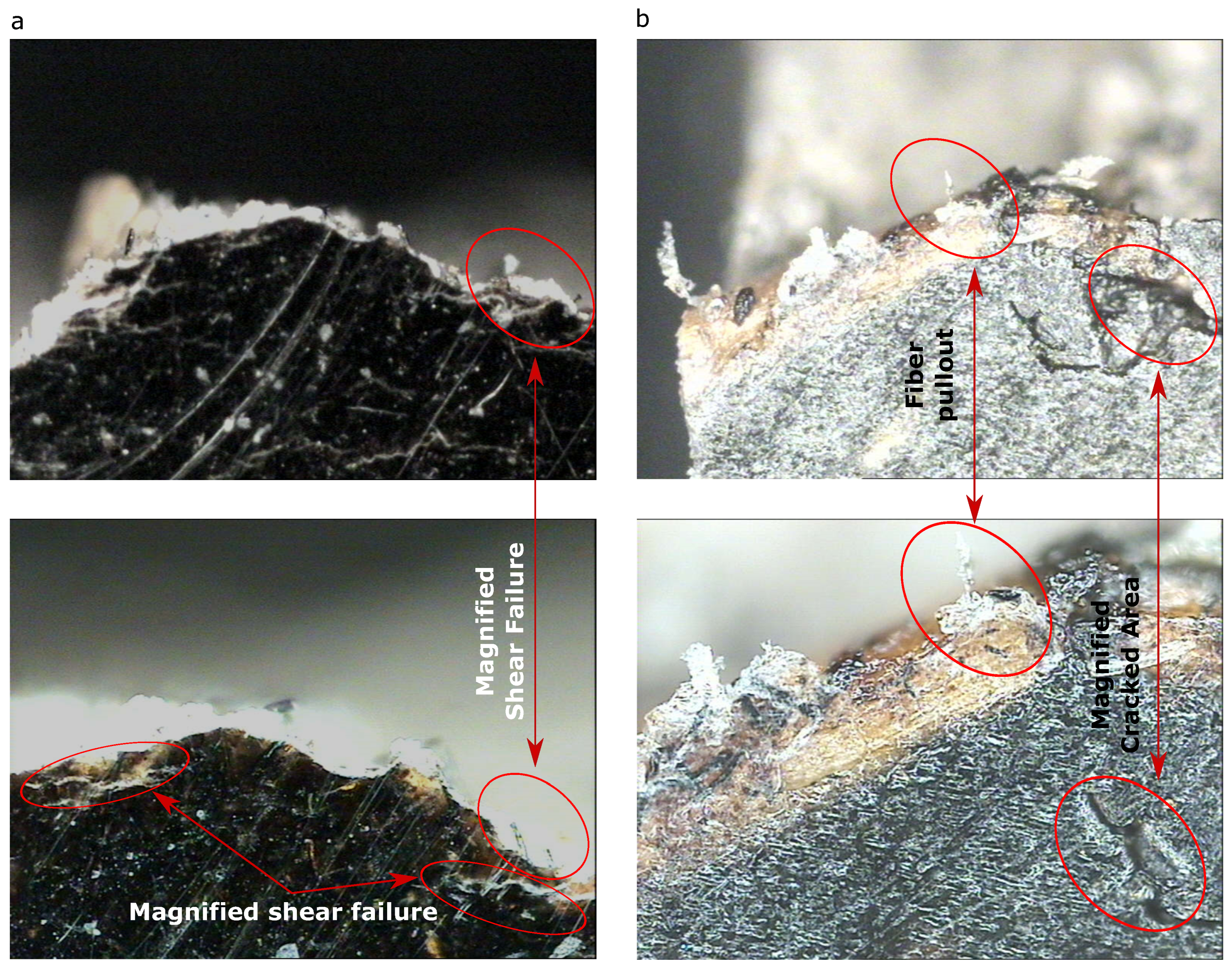 Materials 13 00753 g011 Materials 13 00753 g011