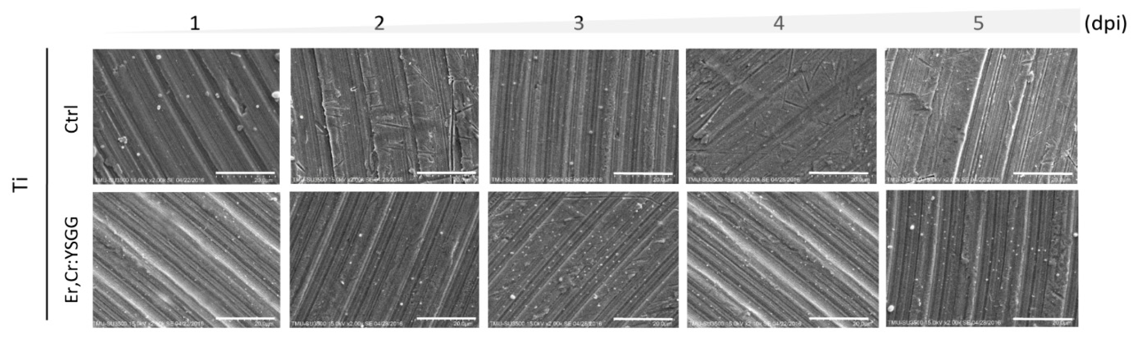 Materials 13 00756 g010