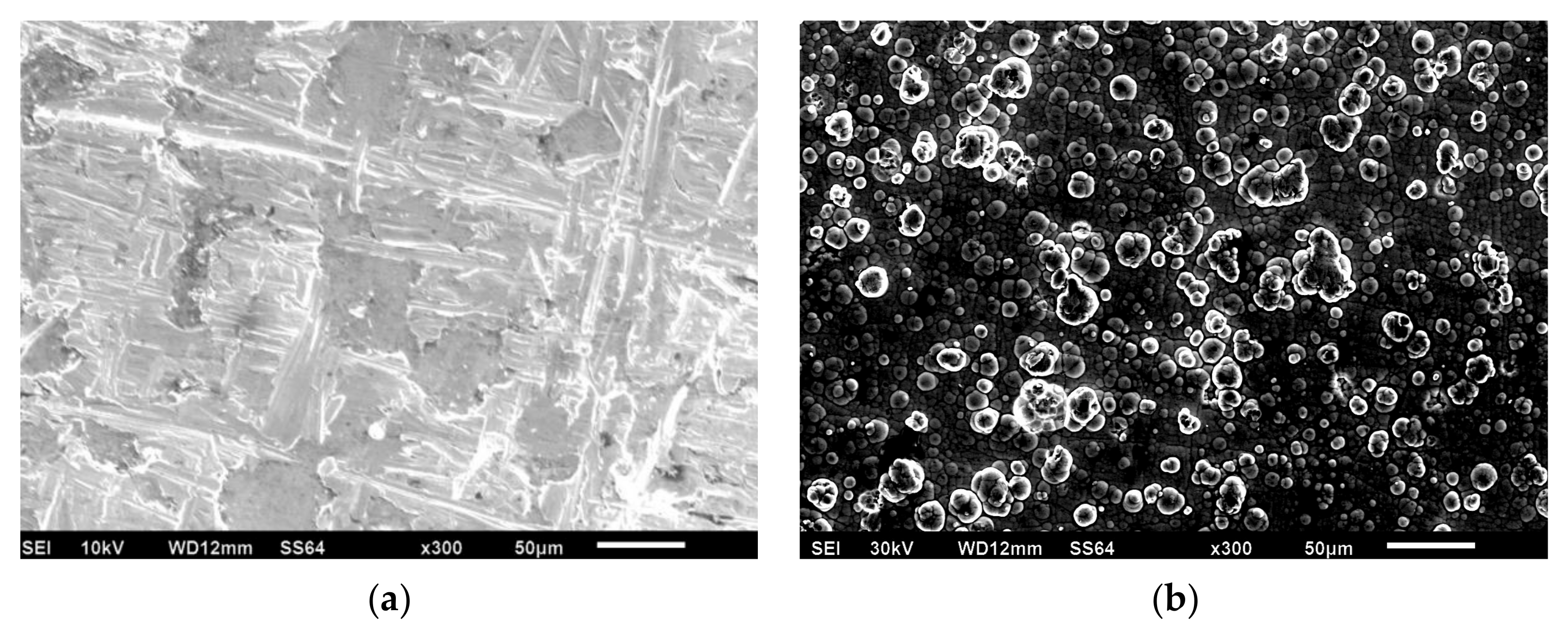 Materials 13 00764 g003a