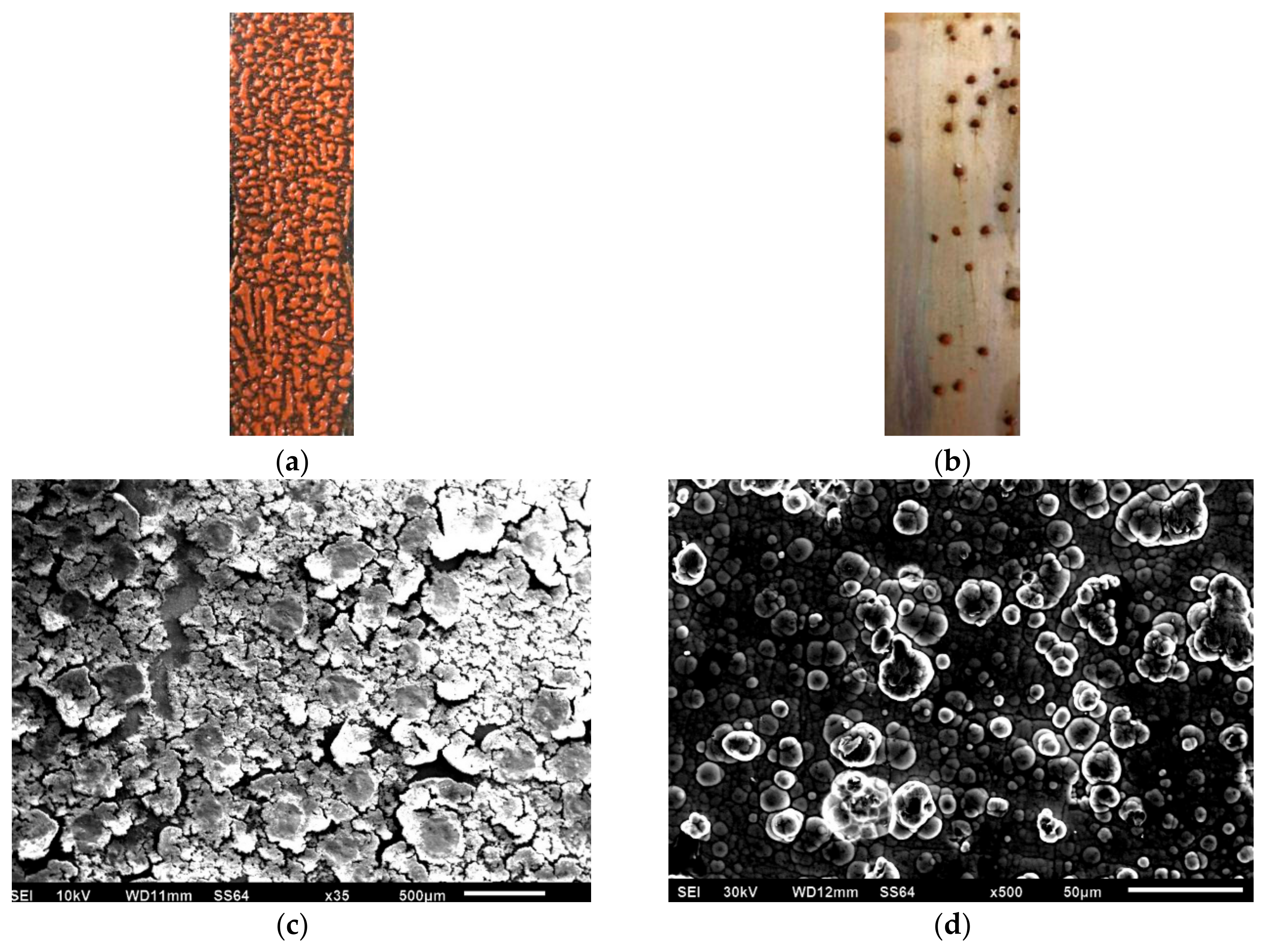 Materials 13 00764 g006