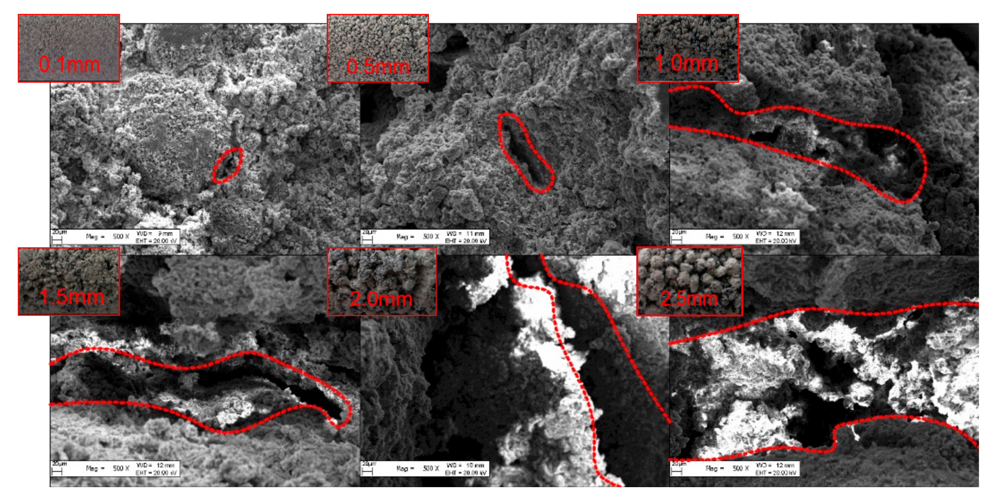 Materials 13 00765 g006