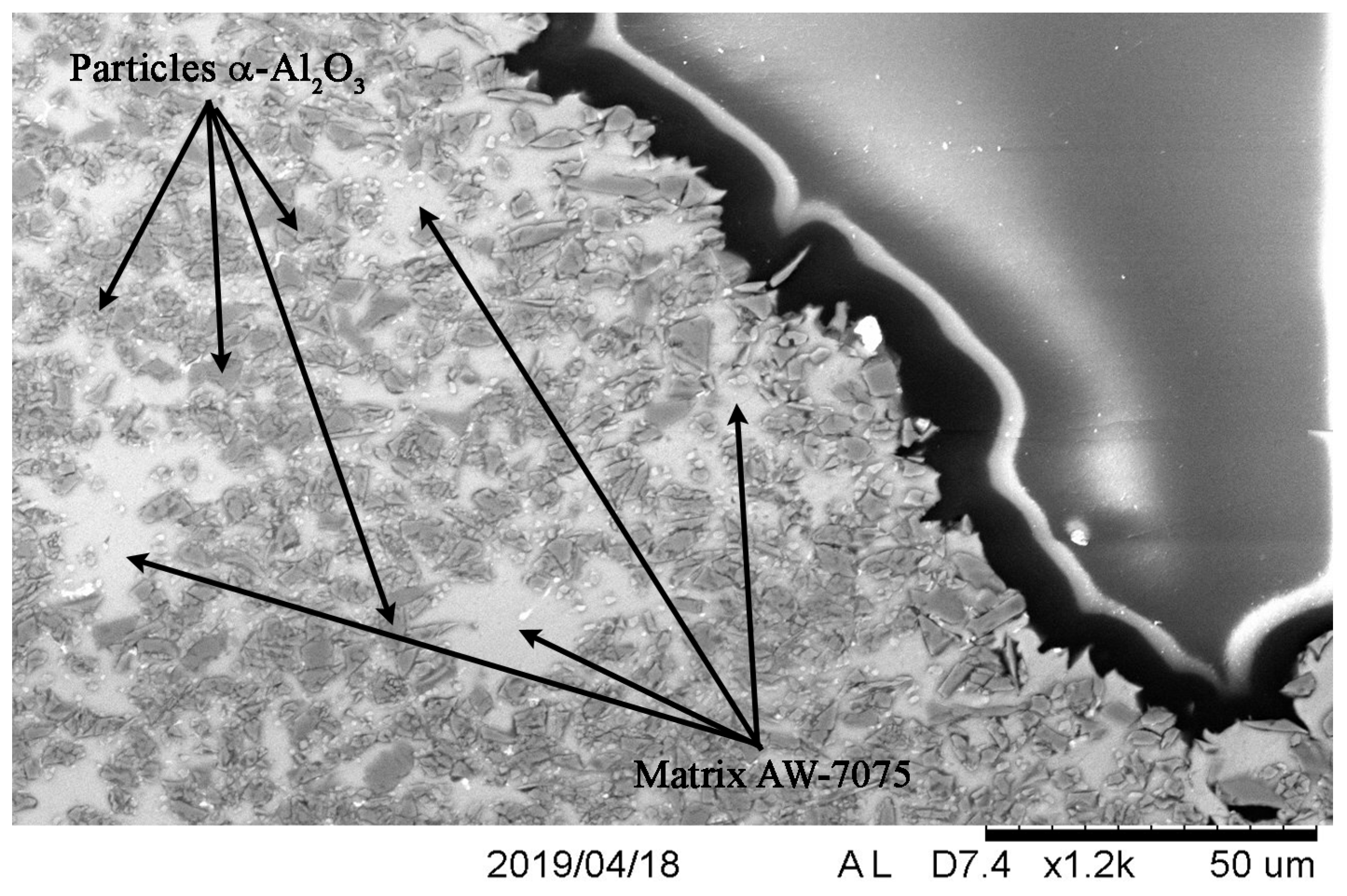 Materials 13 00769 g011 Materials 13 00769 g011