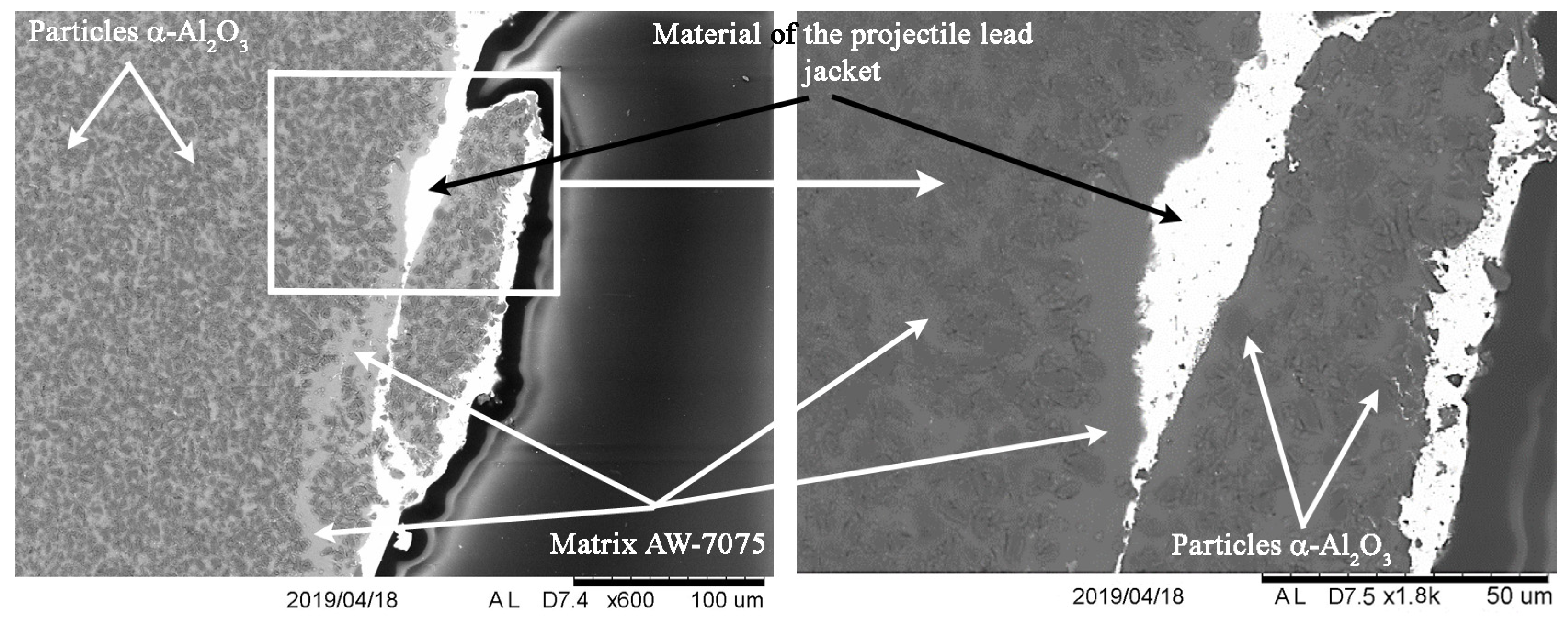 Materials 13 00769 g014 Materials 13 00769 g014
