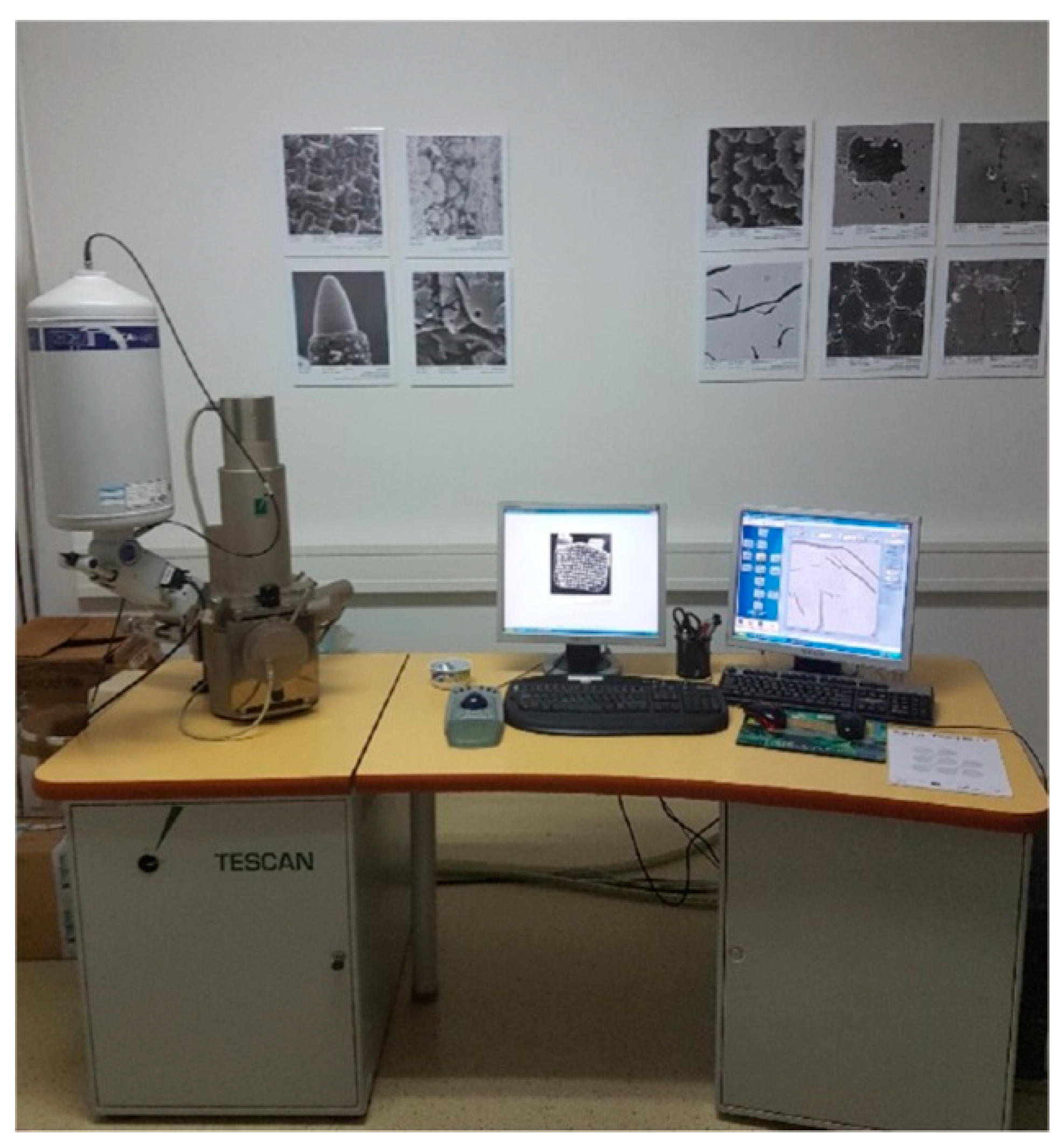 Materials 13 00774 g004 Materials 13 00774 g004