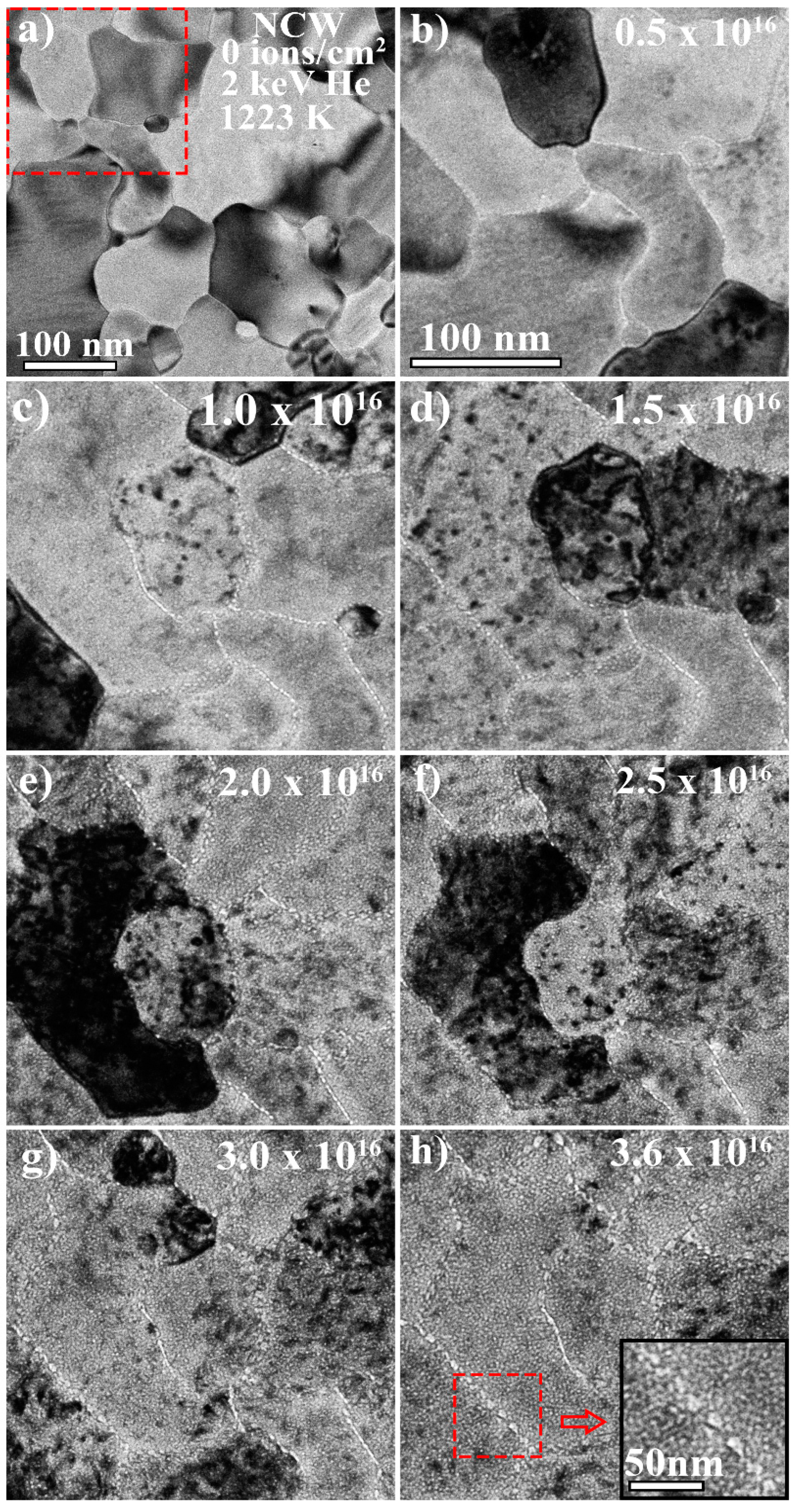 Materials 13 00794 g002