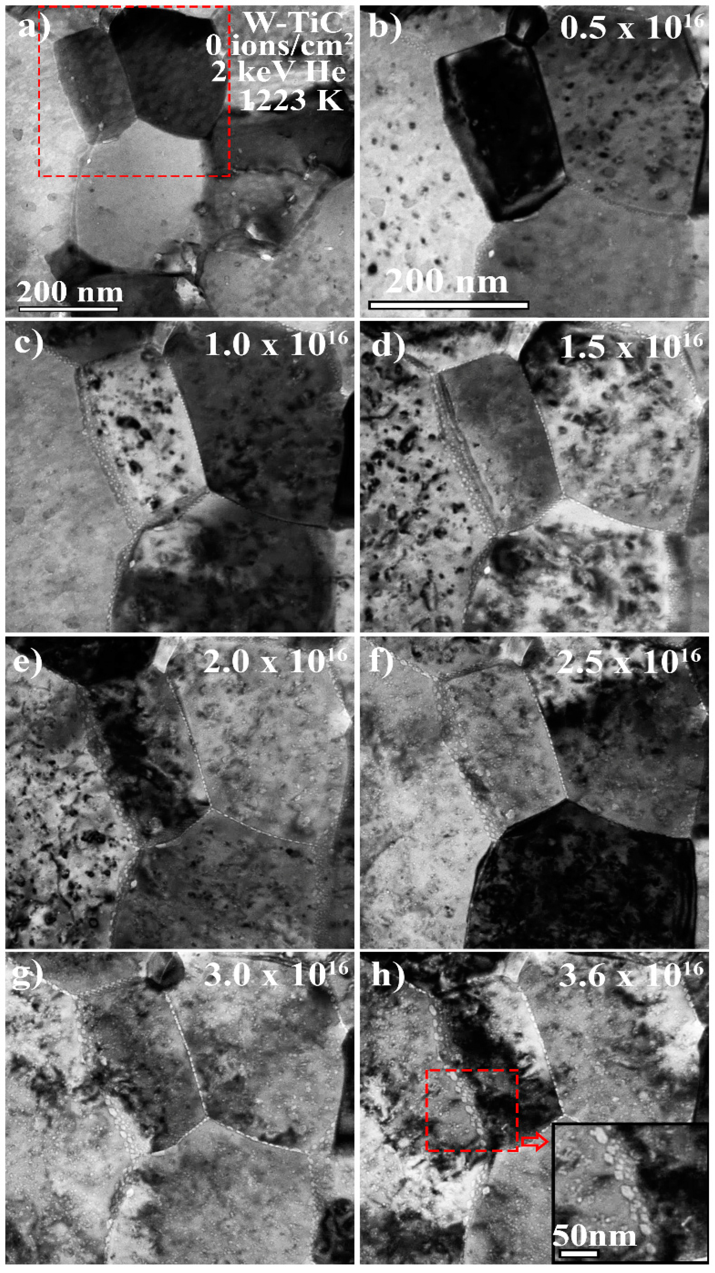 Materials 13 00794 g003