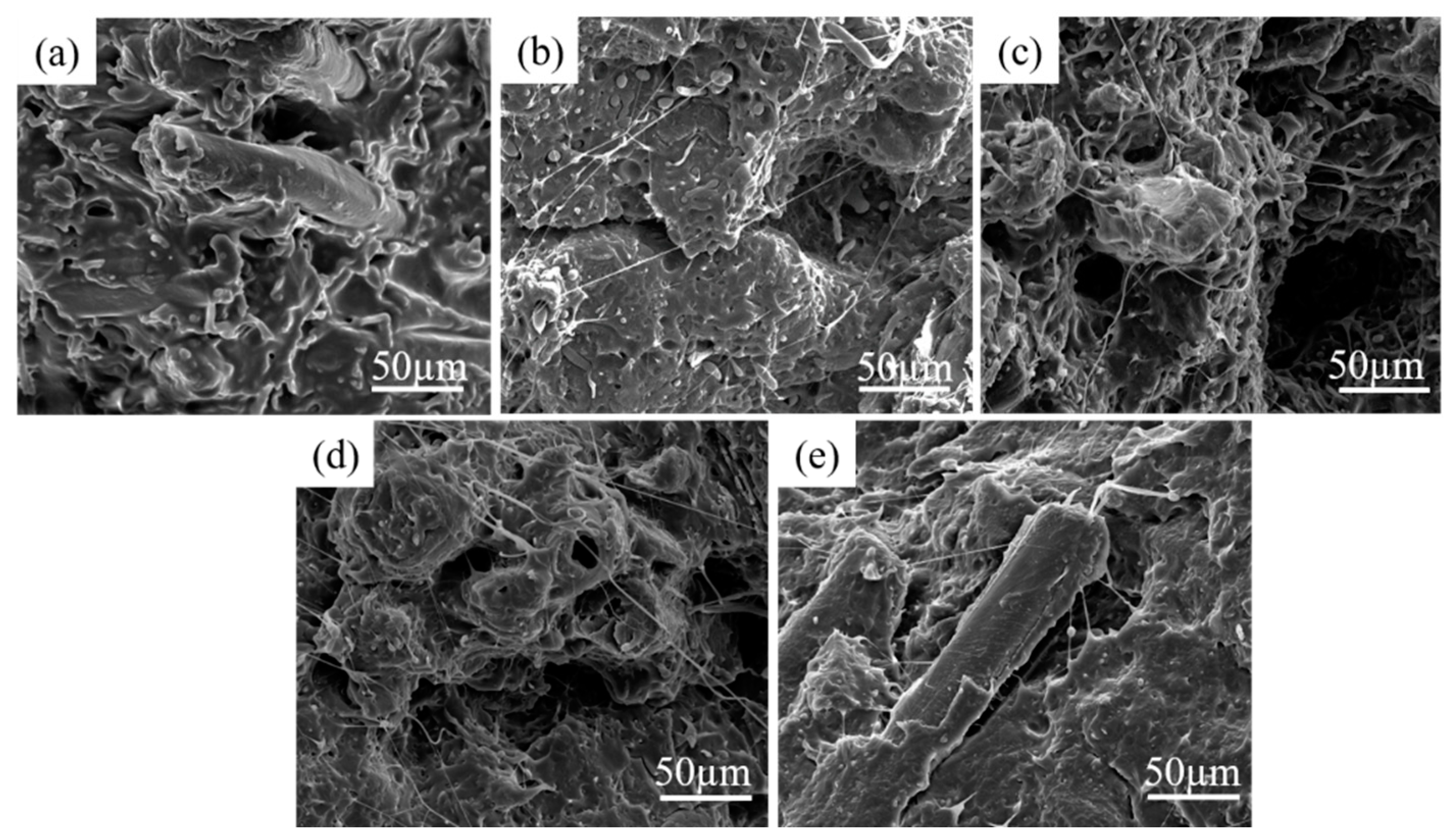 Materials 13 00806 g006 Materials 13 00806 g006