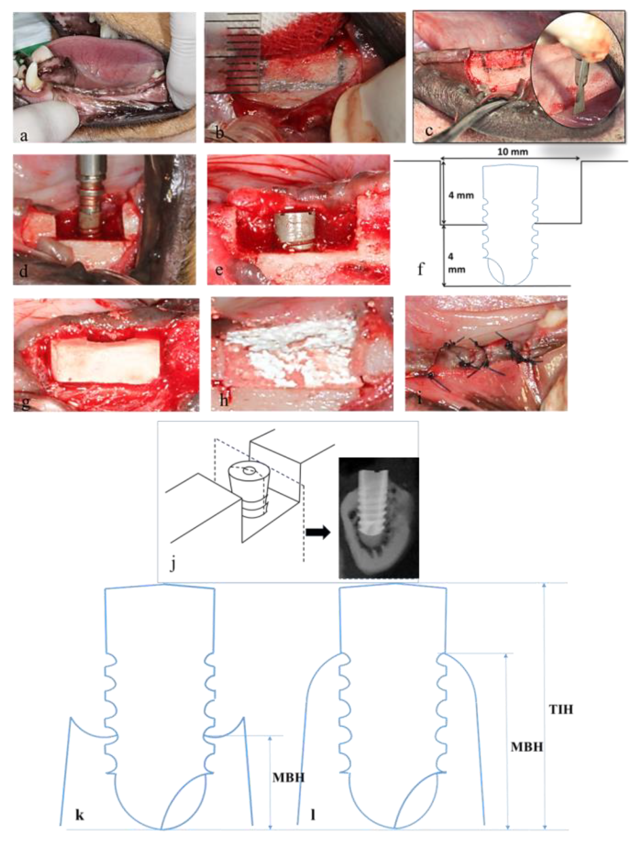 Materials 13 00823 g002