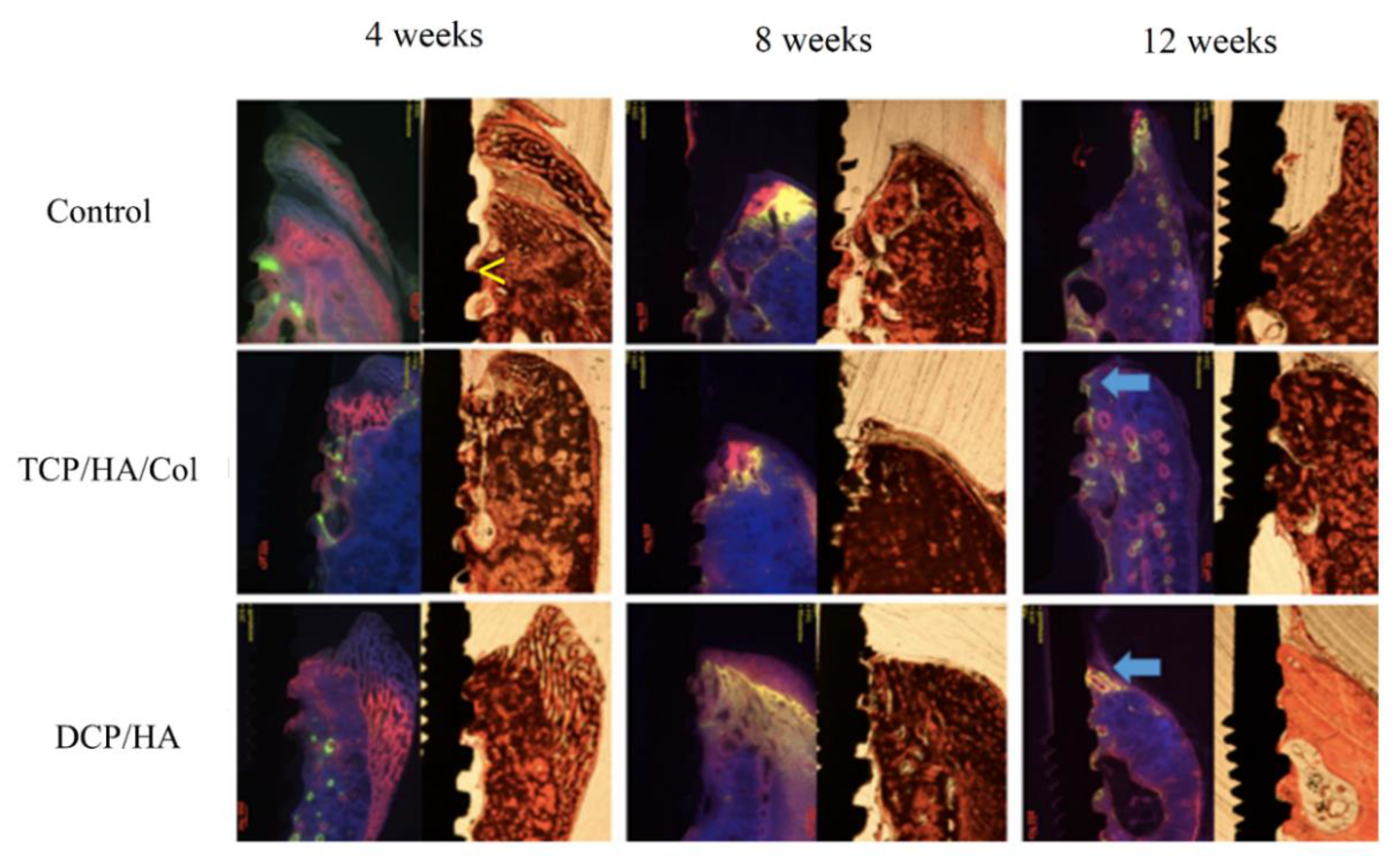 Materials 13 00823 g005