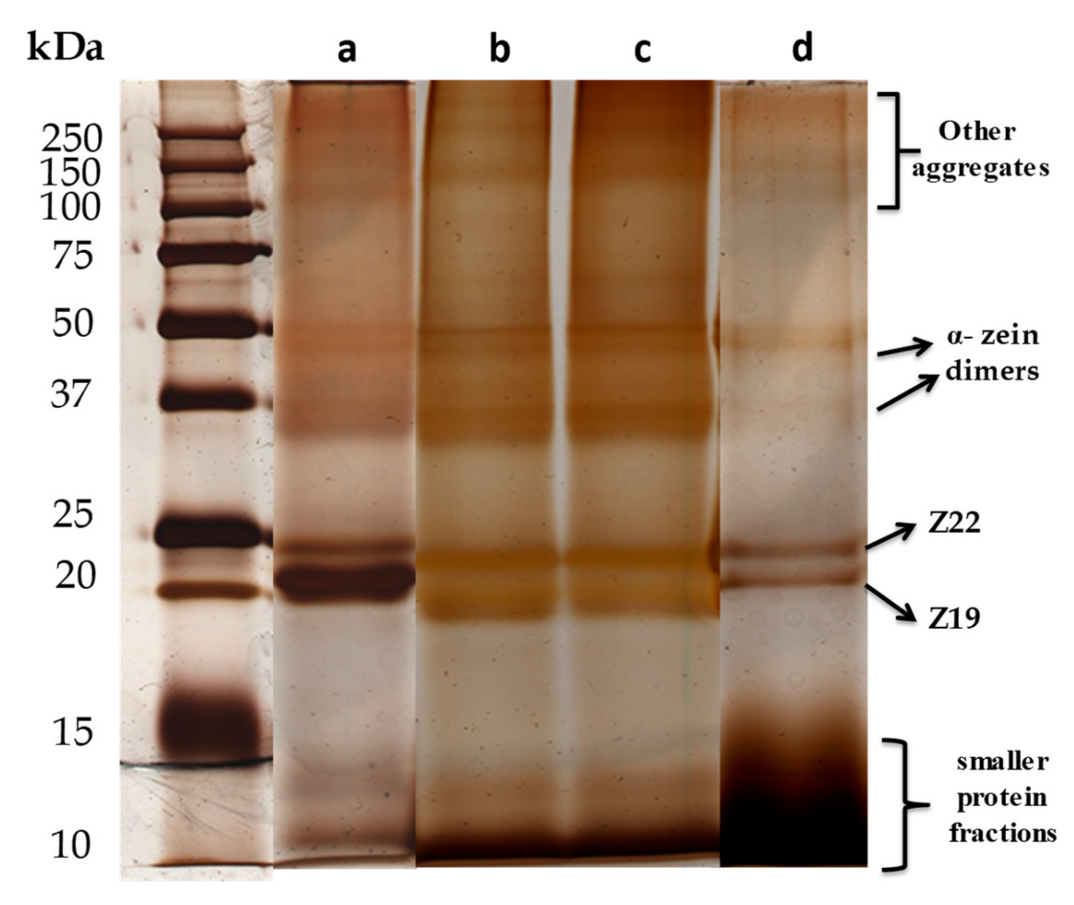 Materials 13 00825 g003 Materials 13 00825 g003