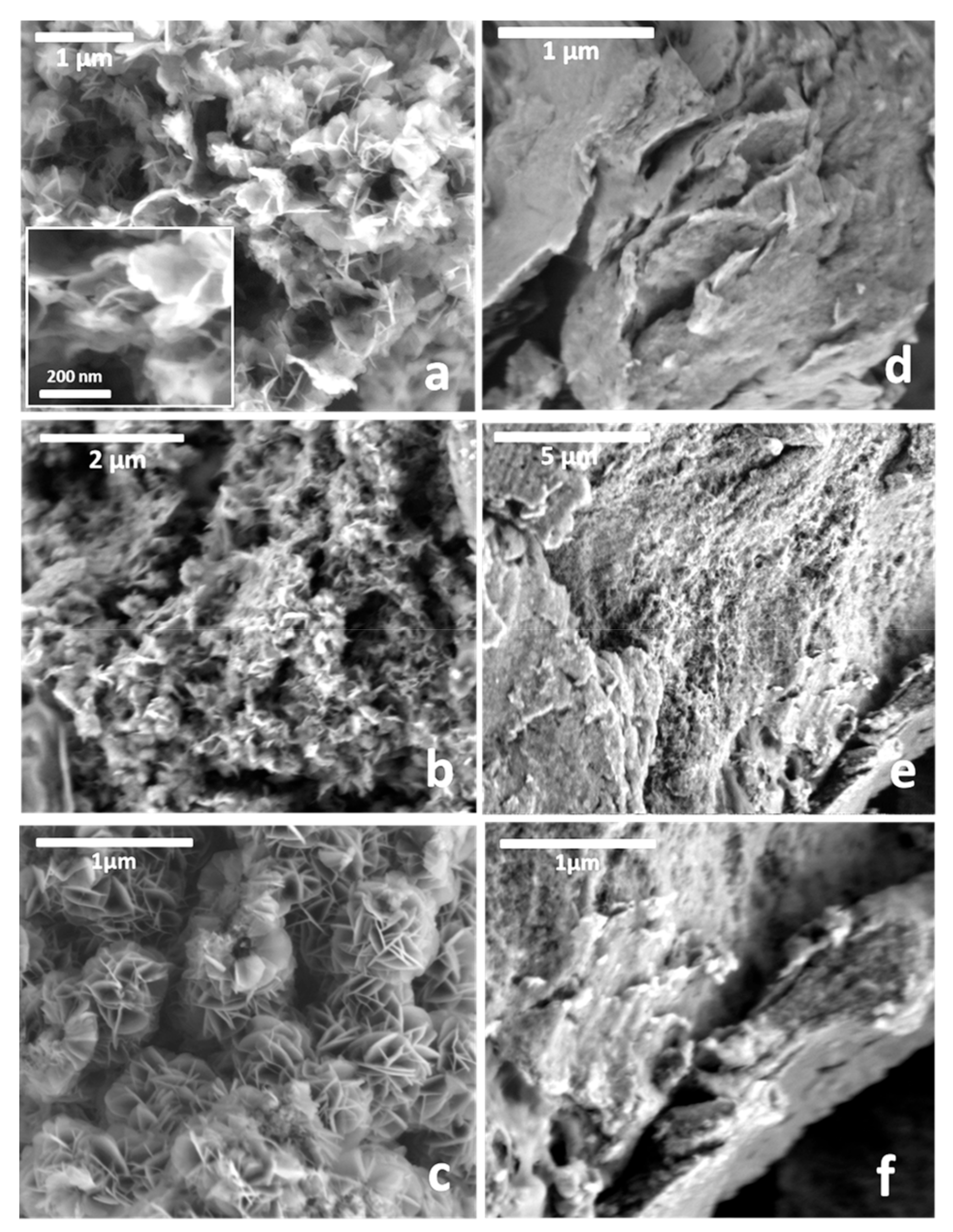 Materials 13 00825 g007 Materials 13 00825 g007