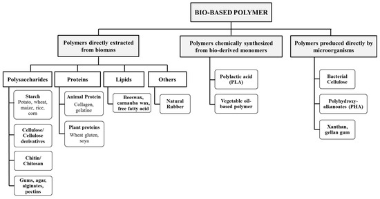 Bio-Based Polymer Electrolytes for Electrochemical Devices: Insight ...