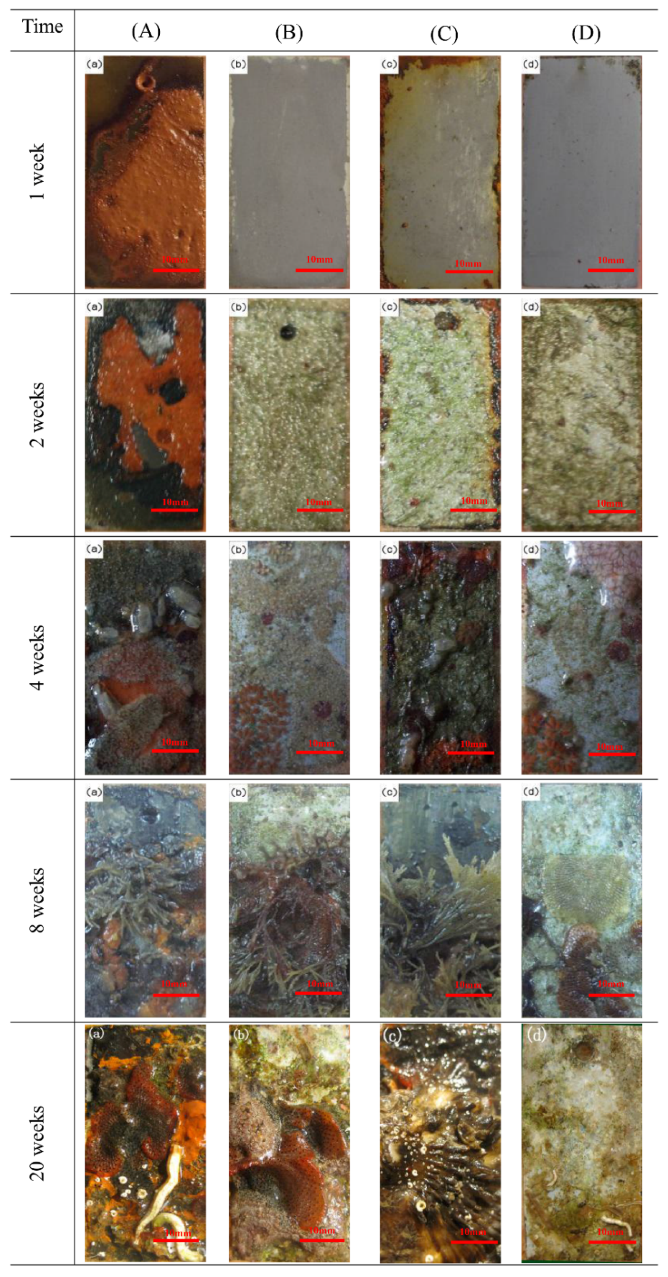 Materials 13 00850 g002