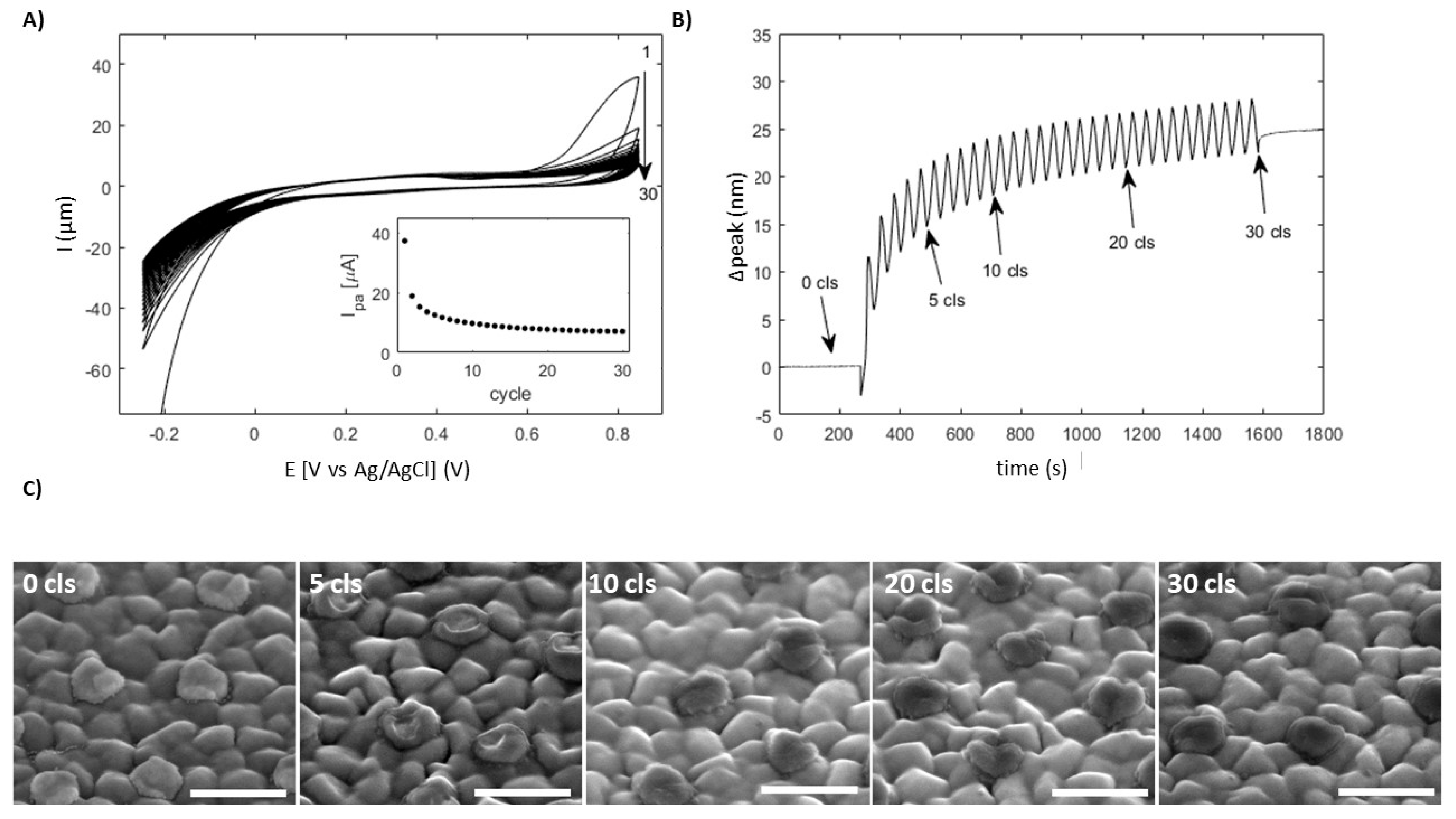 Materials 13 00853 g005