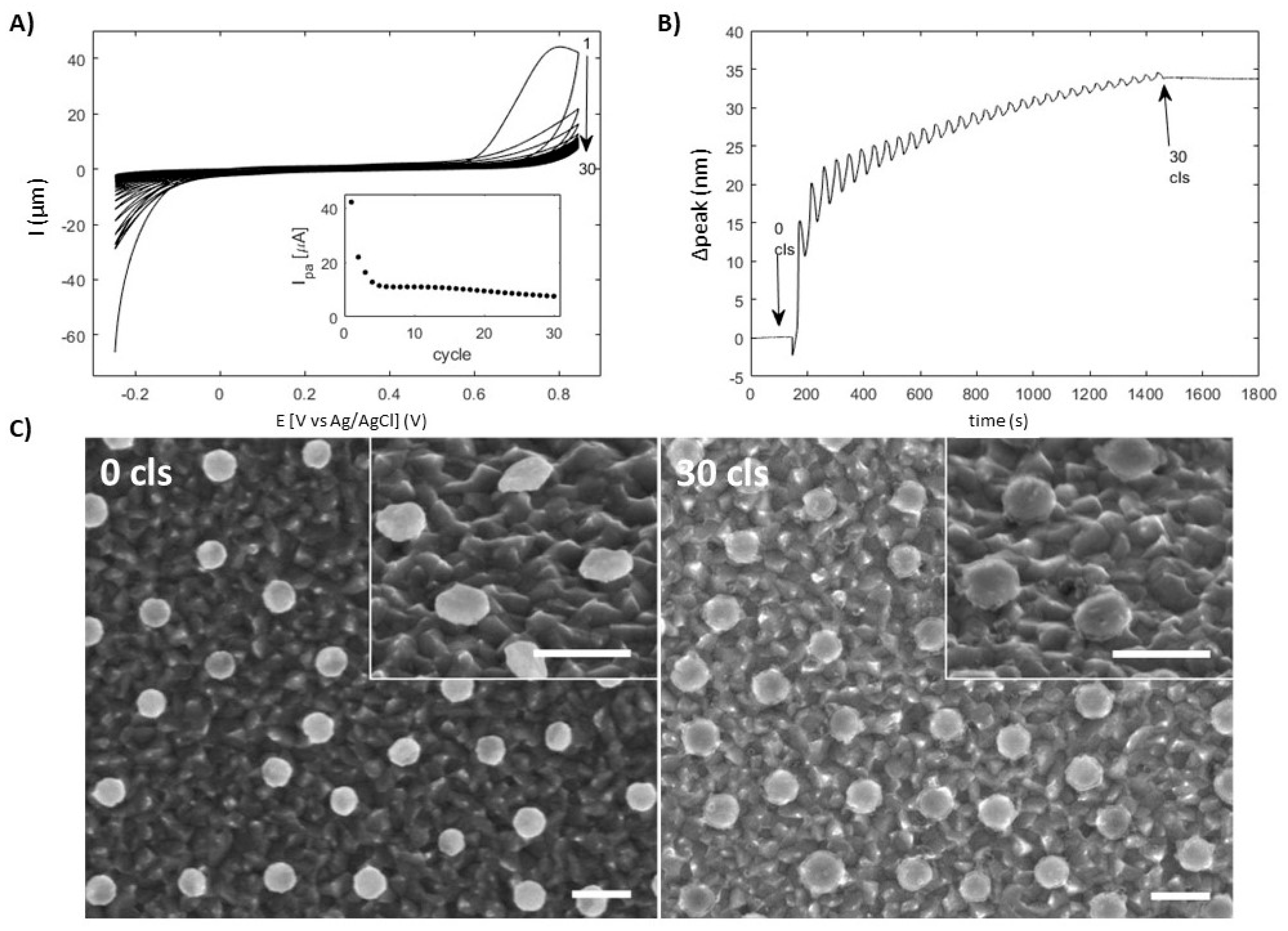 Materials 13 00853 g006