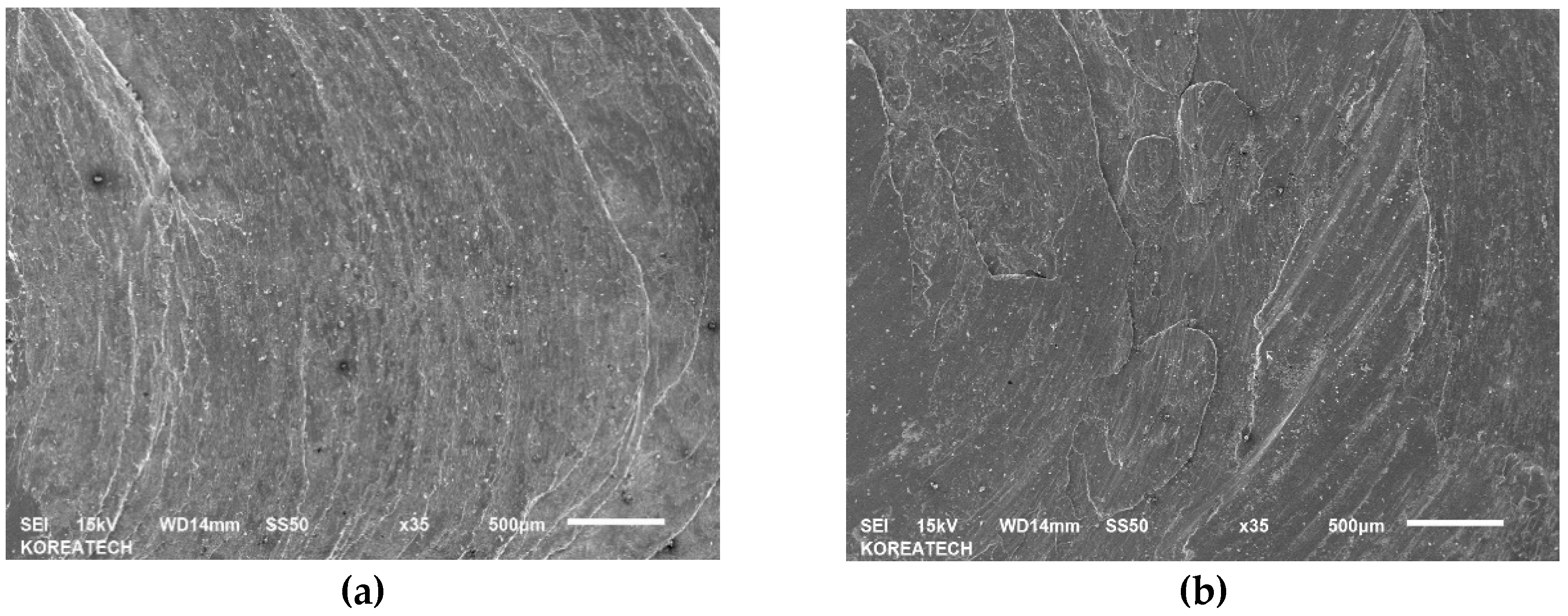Materials 13 00859 g003