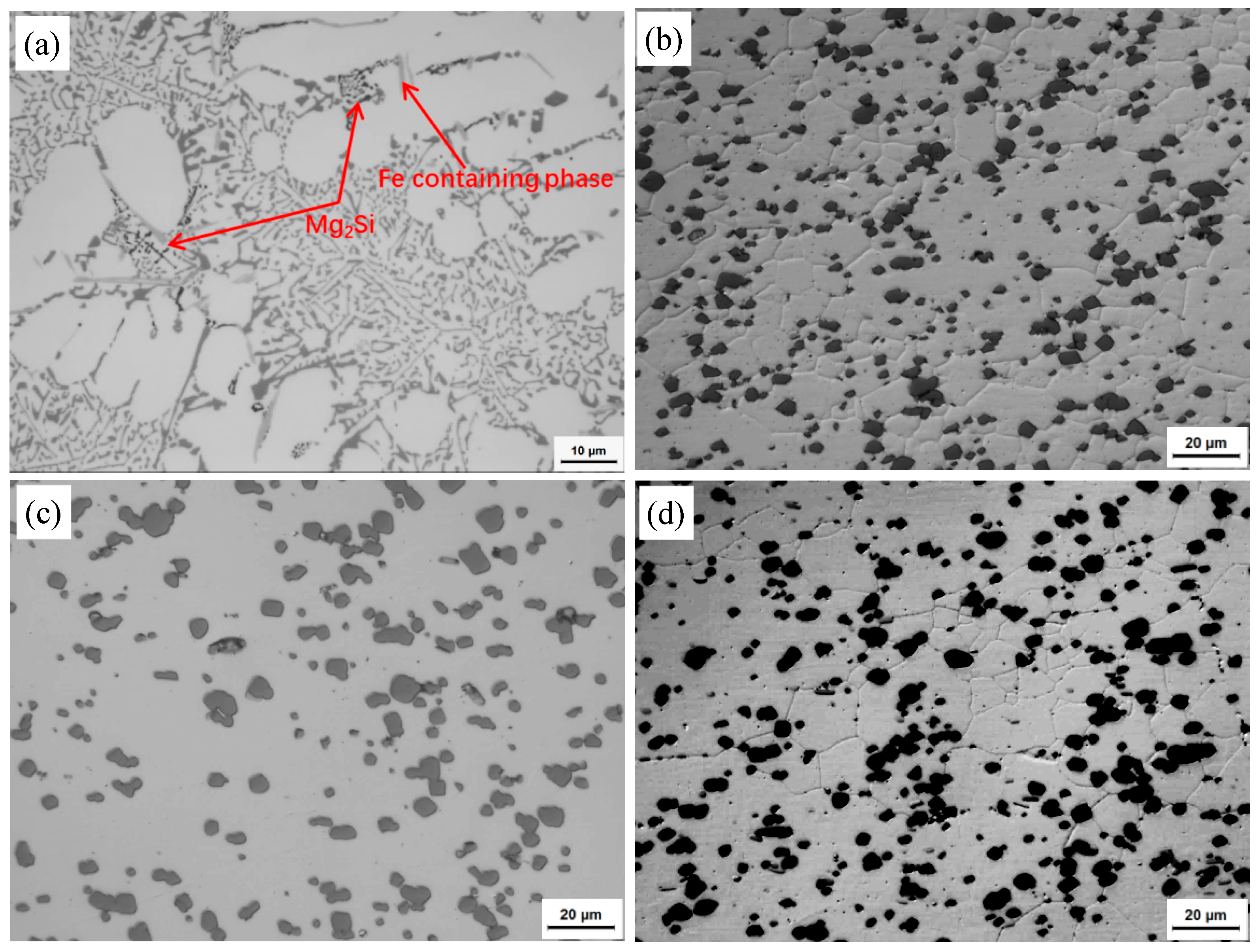 Materials 13 00861 g001