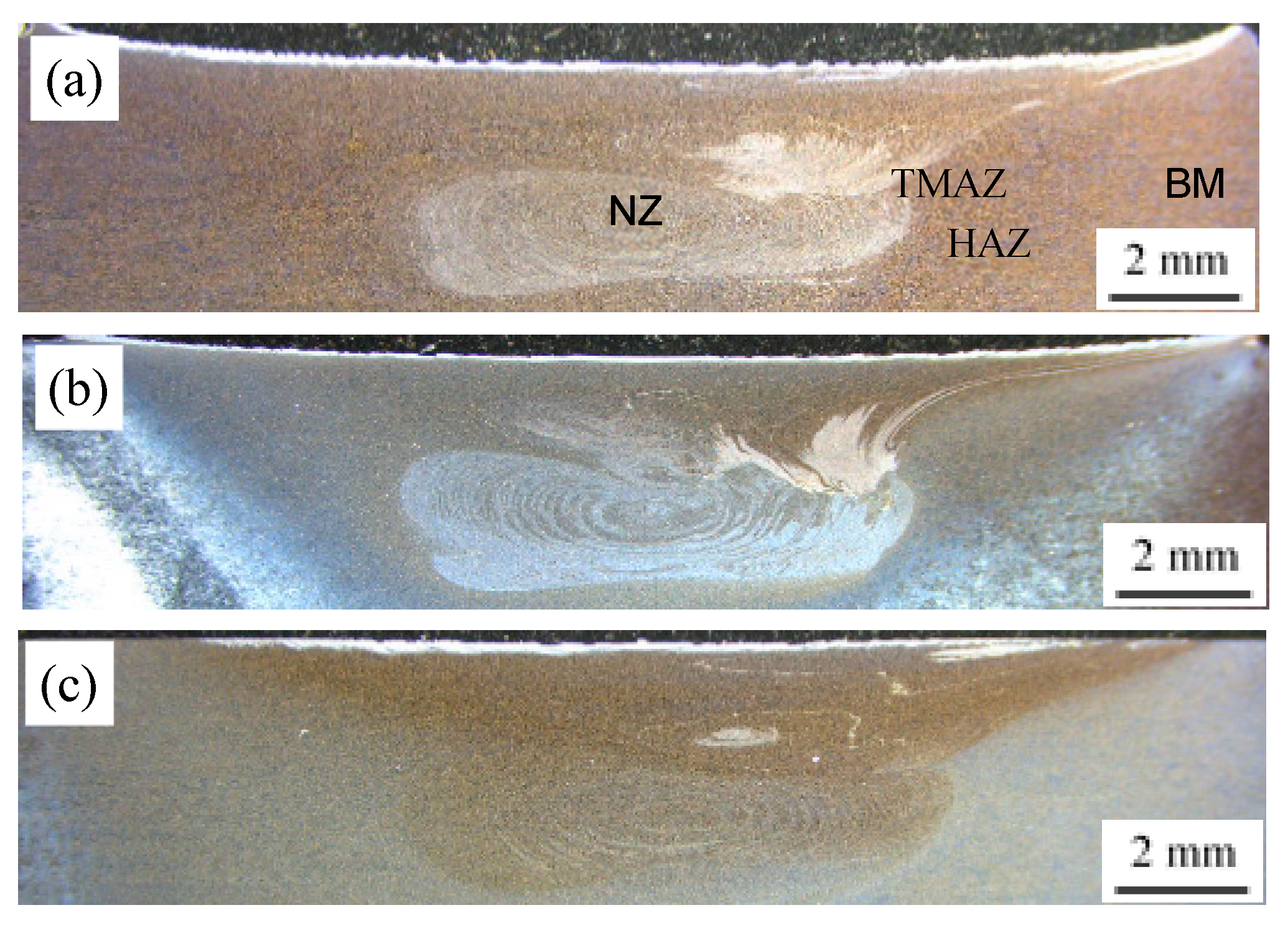 Materials 13 00861 g005