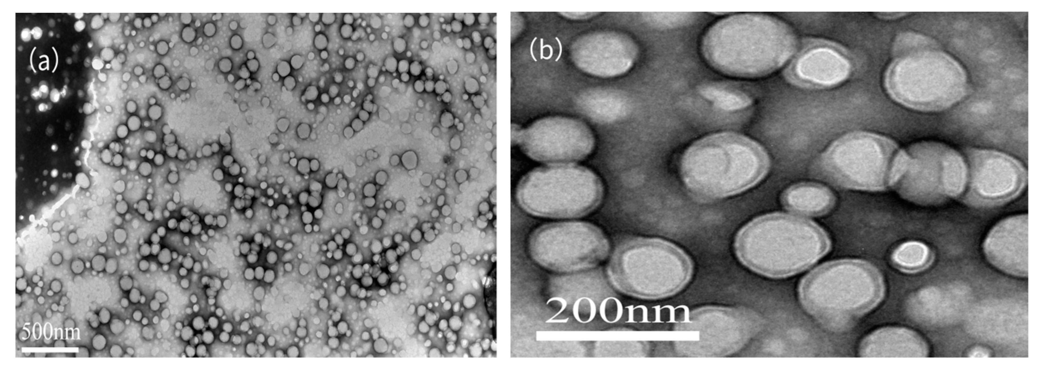 Materials 13 00865 g008 Materials 13 00865 g008