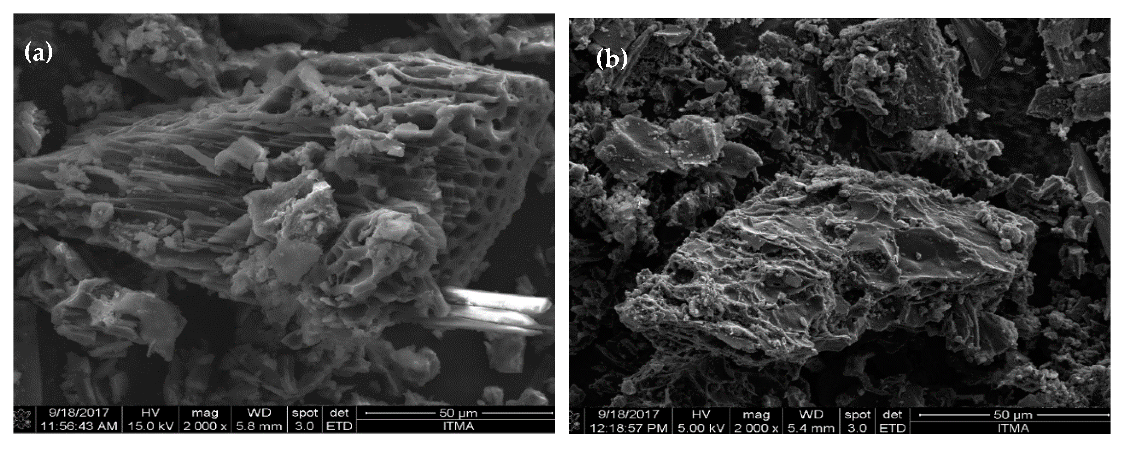 Materials 13 00871 g003