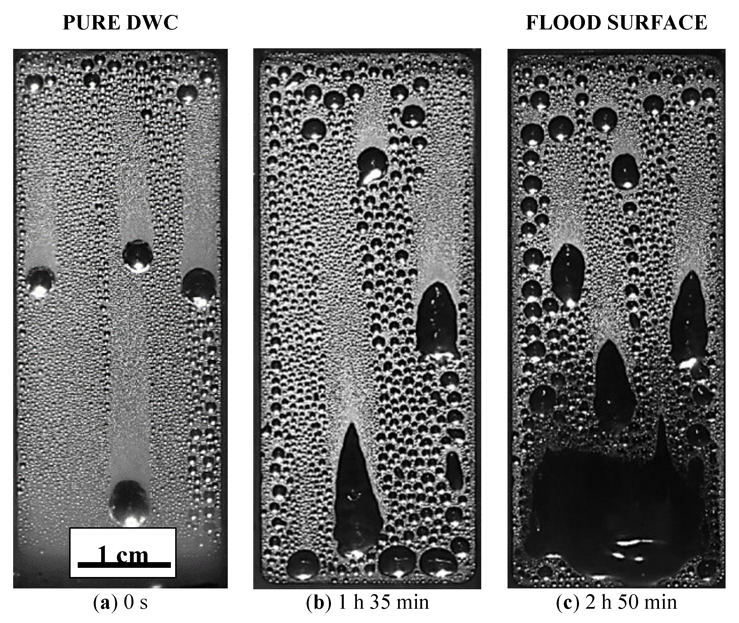 Materials 13 00878 g008 Materials 13 00878 g008