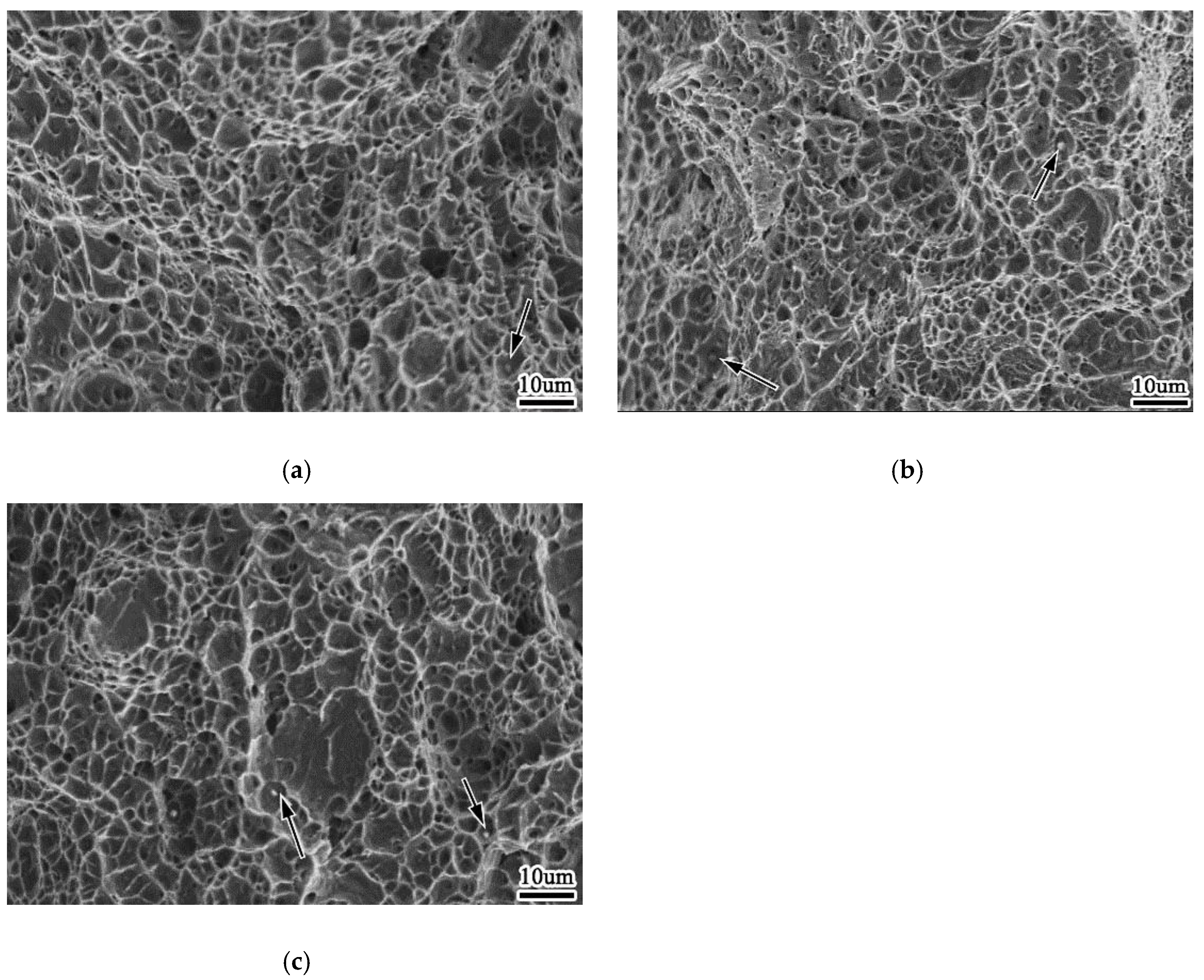 Materials 13 00892 g012 550