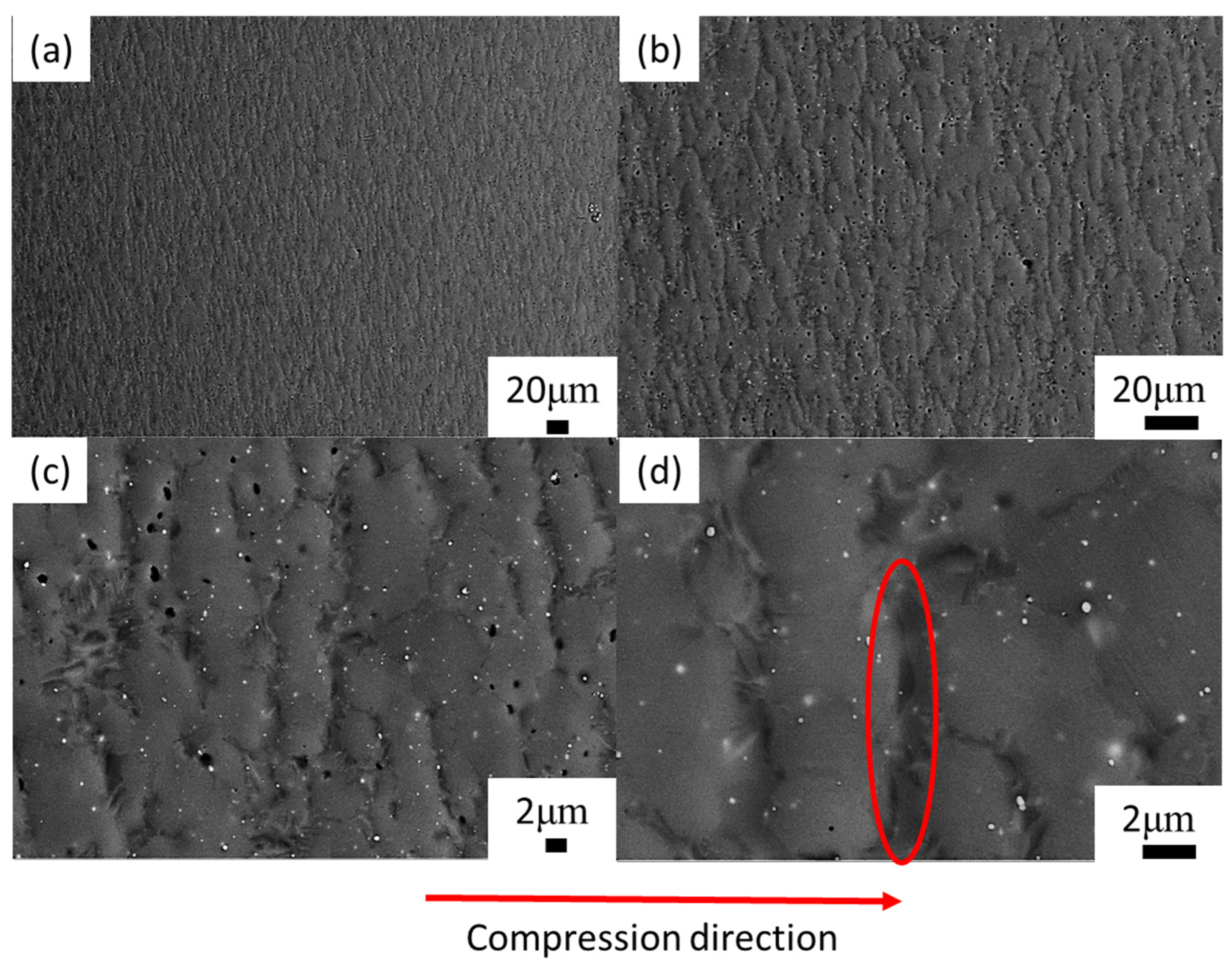 Materials 13 00896 g007