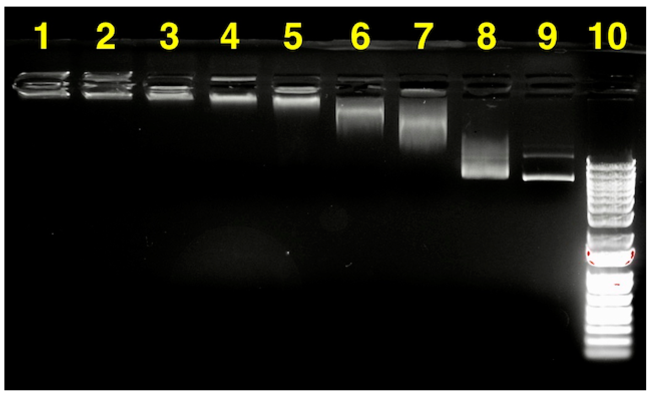 Materials 13 00898 g009 Materials 13 00898 g009