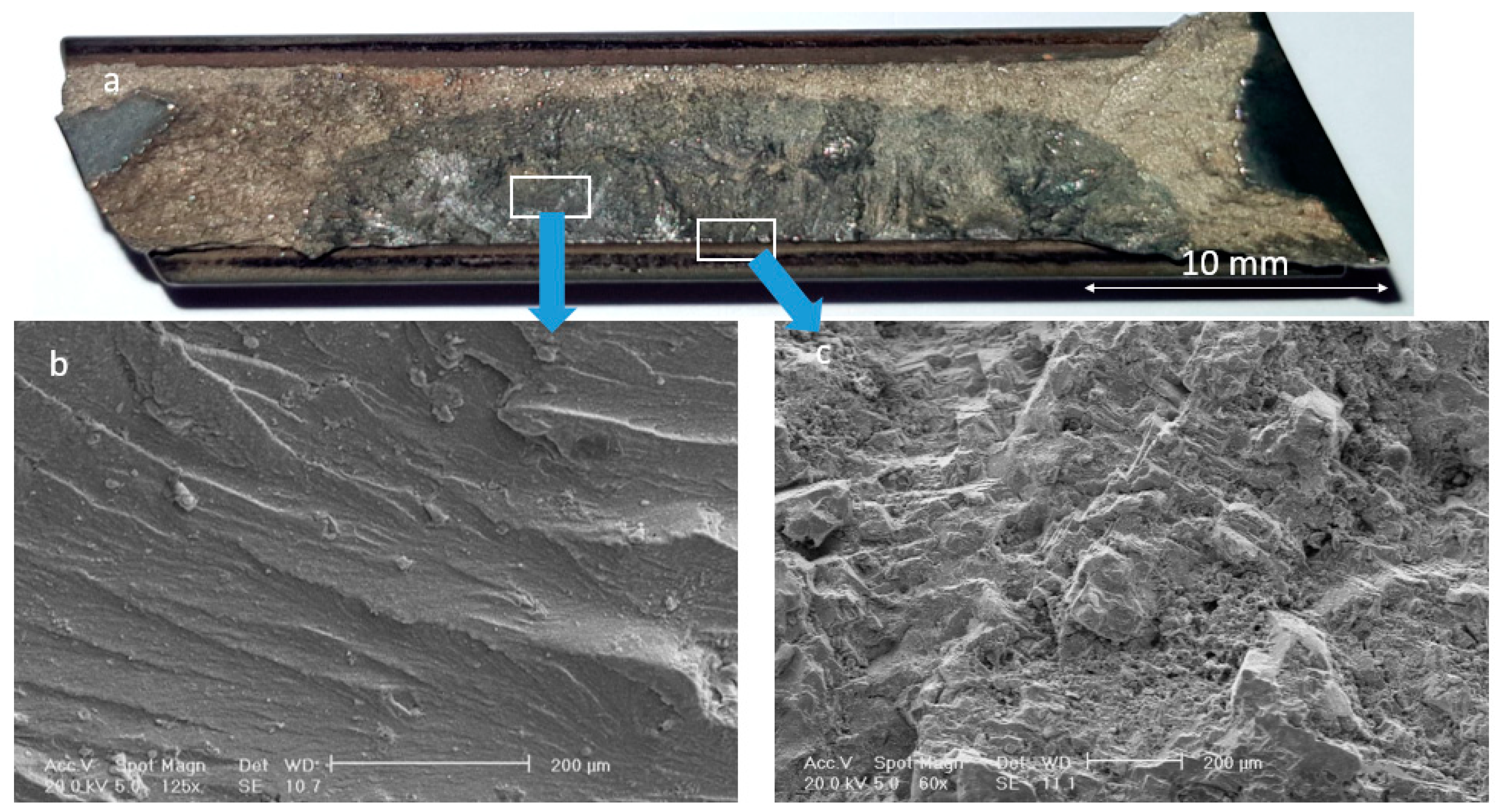 Materials 13 00900 g003