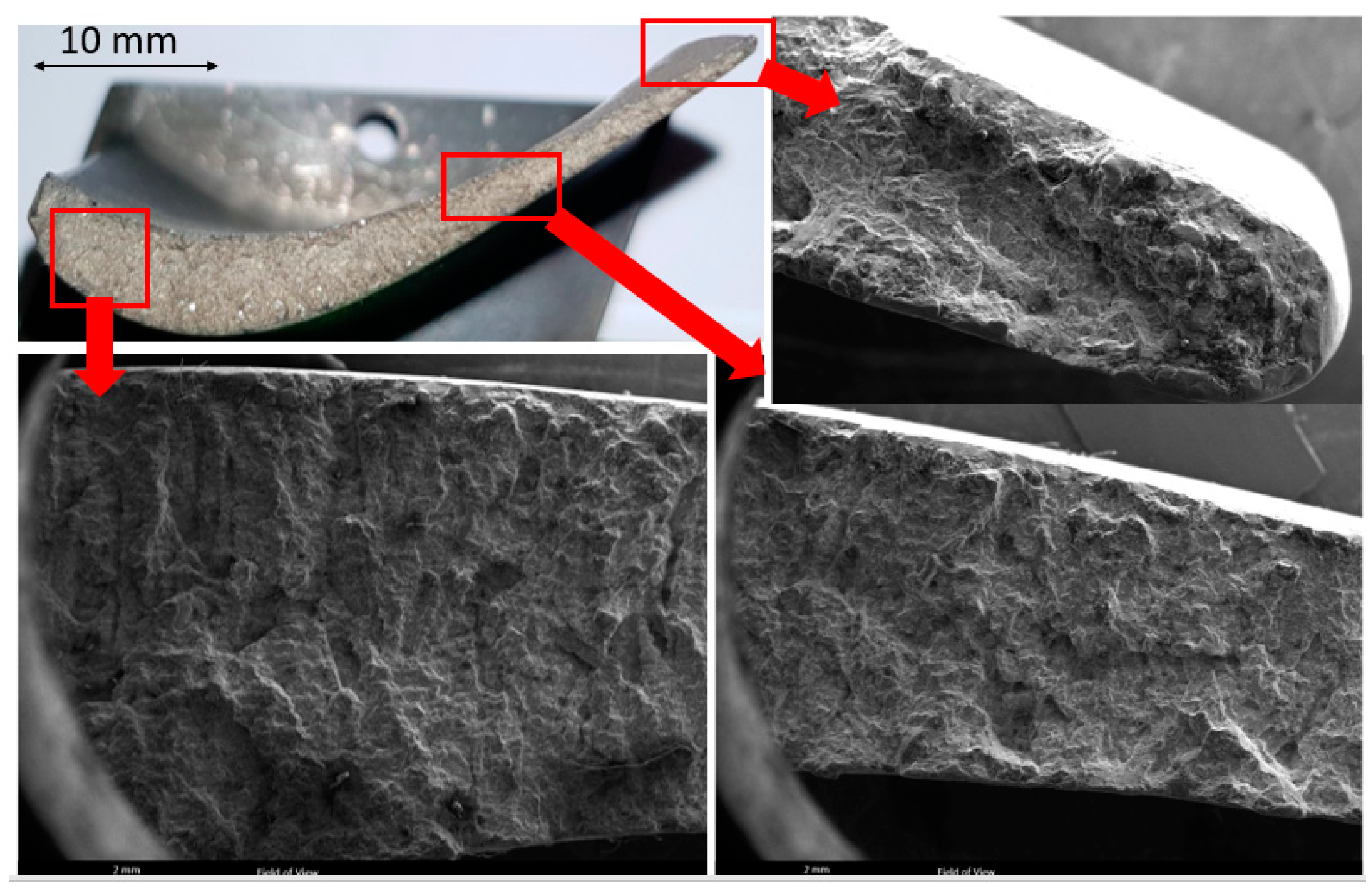 Materials 13 00900 g006