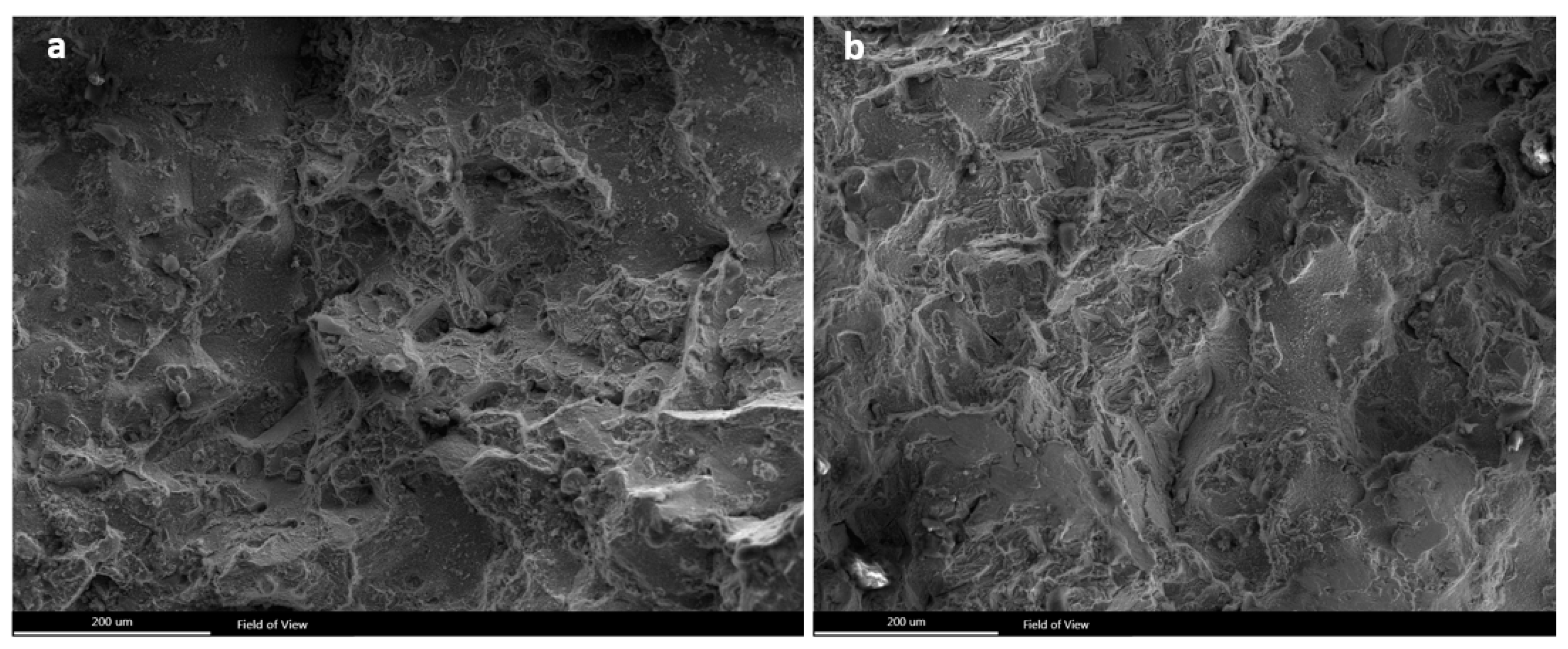 Materials 13 00900 g007