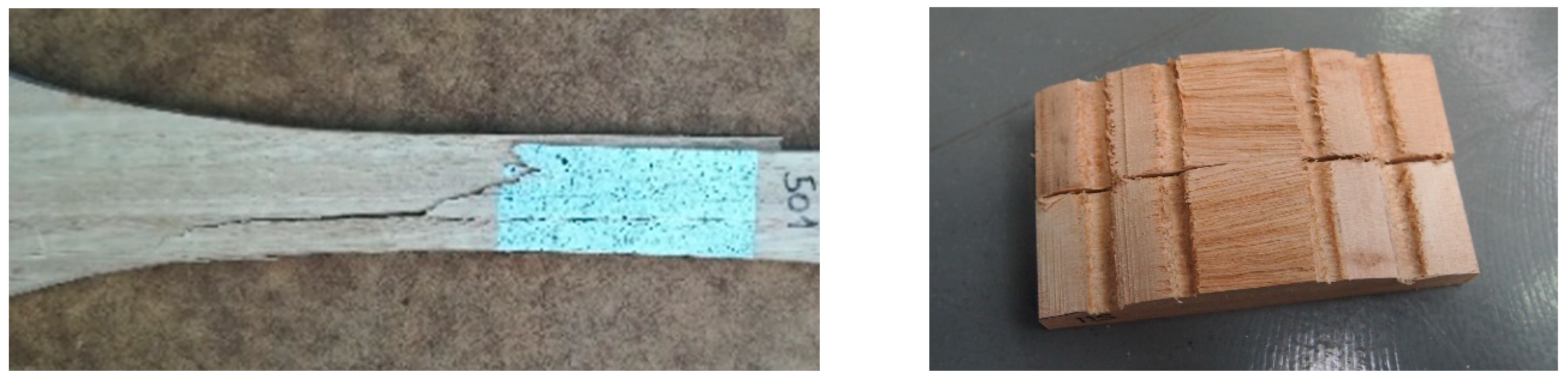 Materials 13 00906 g004