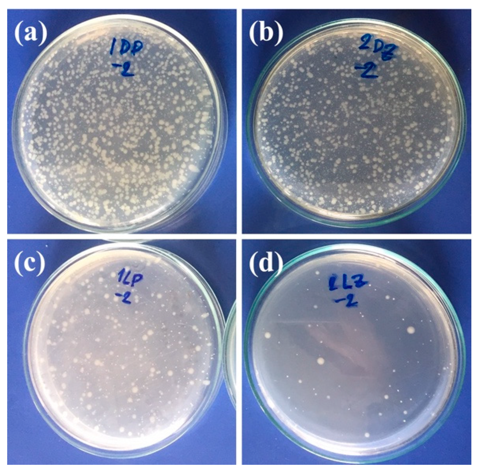 Materials 13 00914 g011