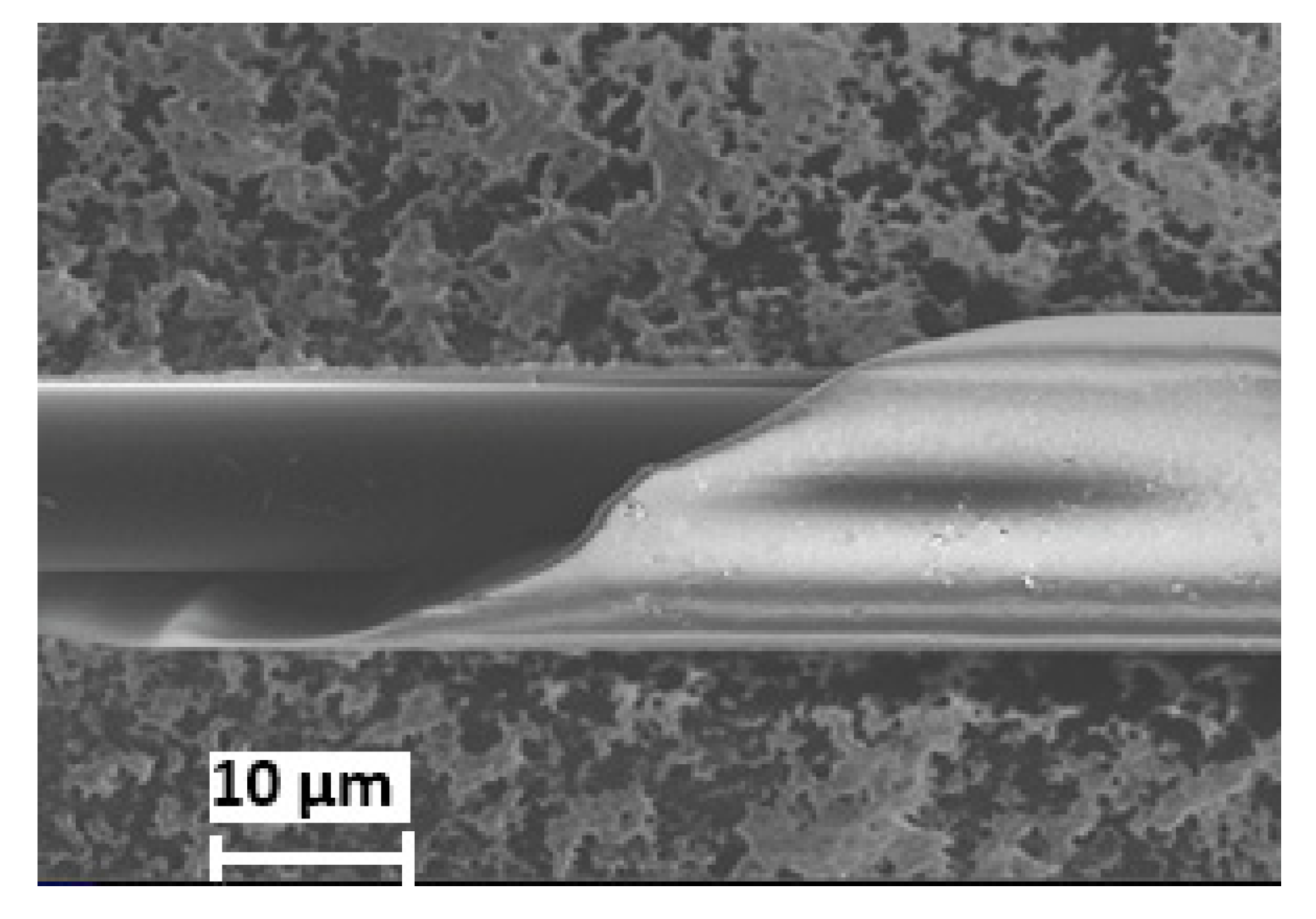 Materials 13 00916 g004