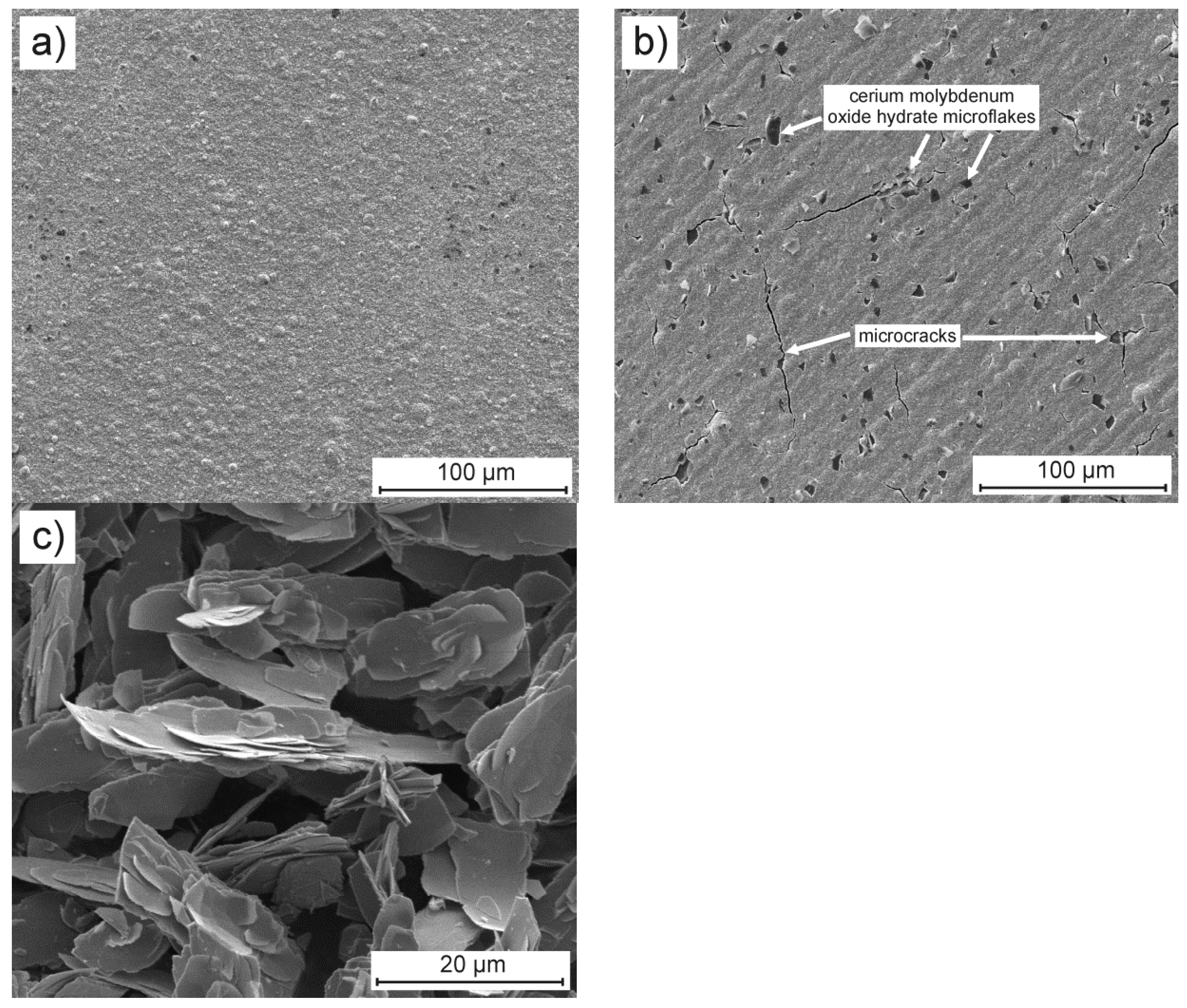 Materials 13 00924 g001 Materials 13 00924 g001
