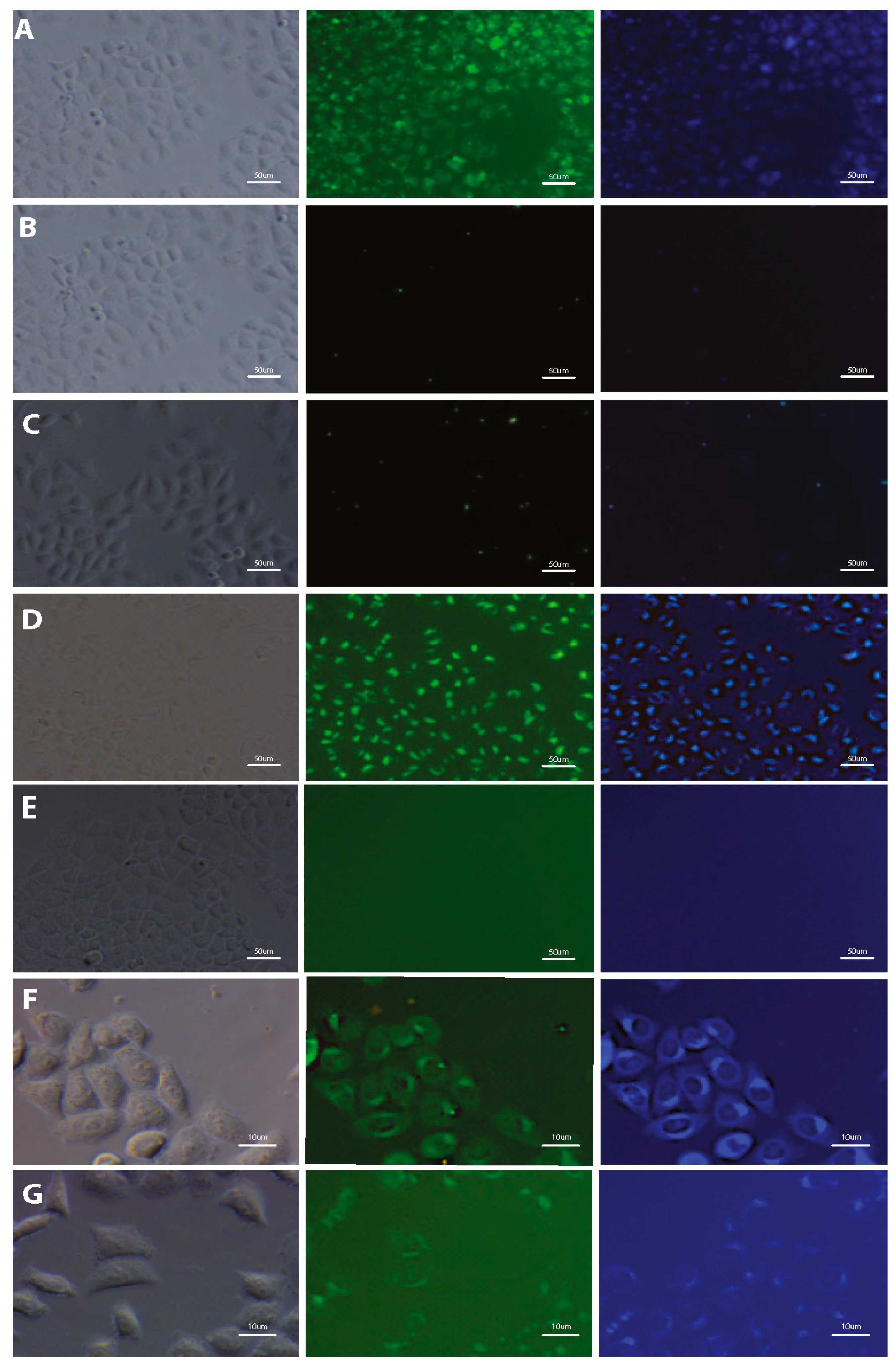 Materials 13 00951 g004