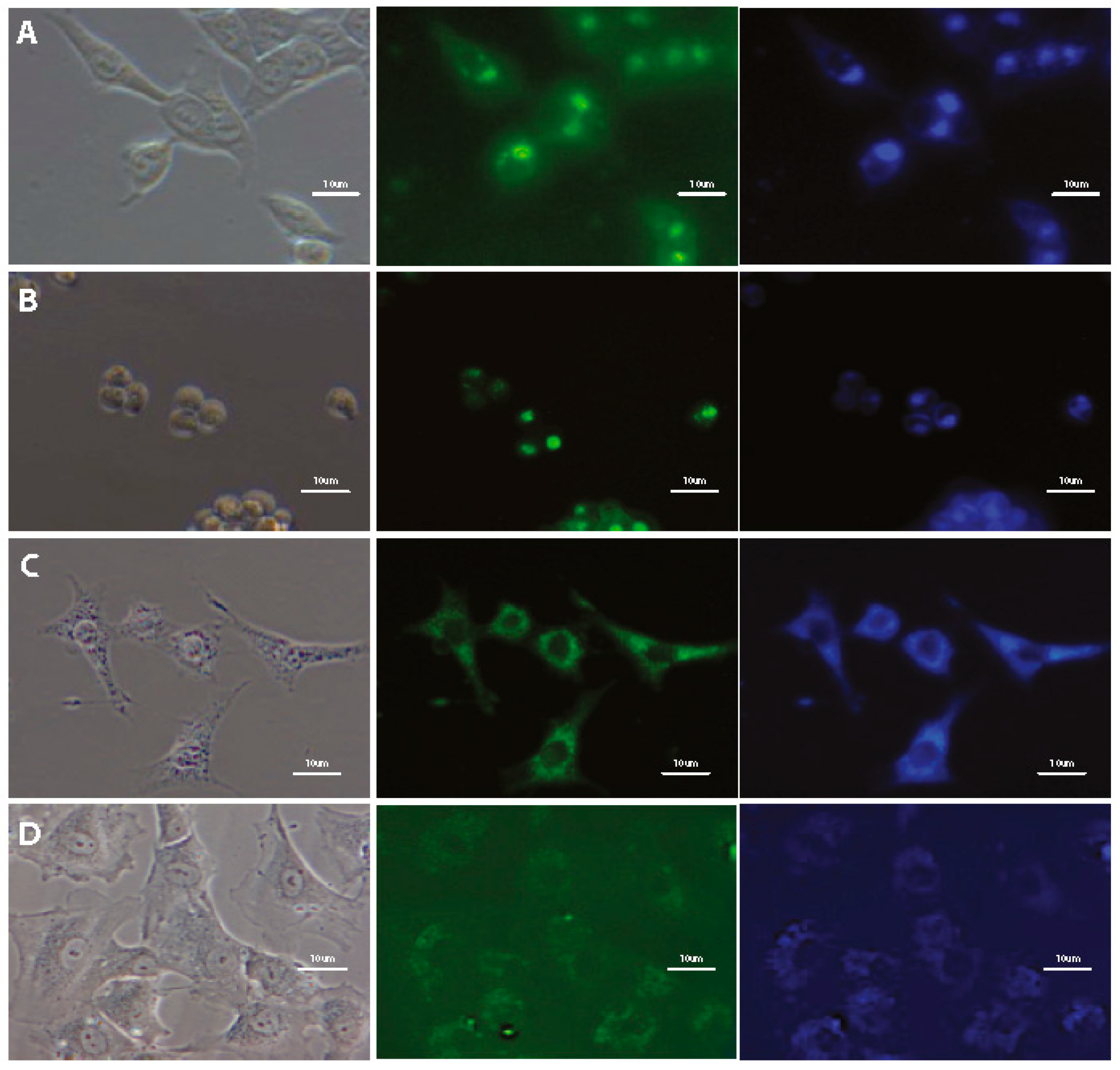 Materials 13 00951 g005