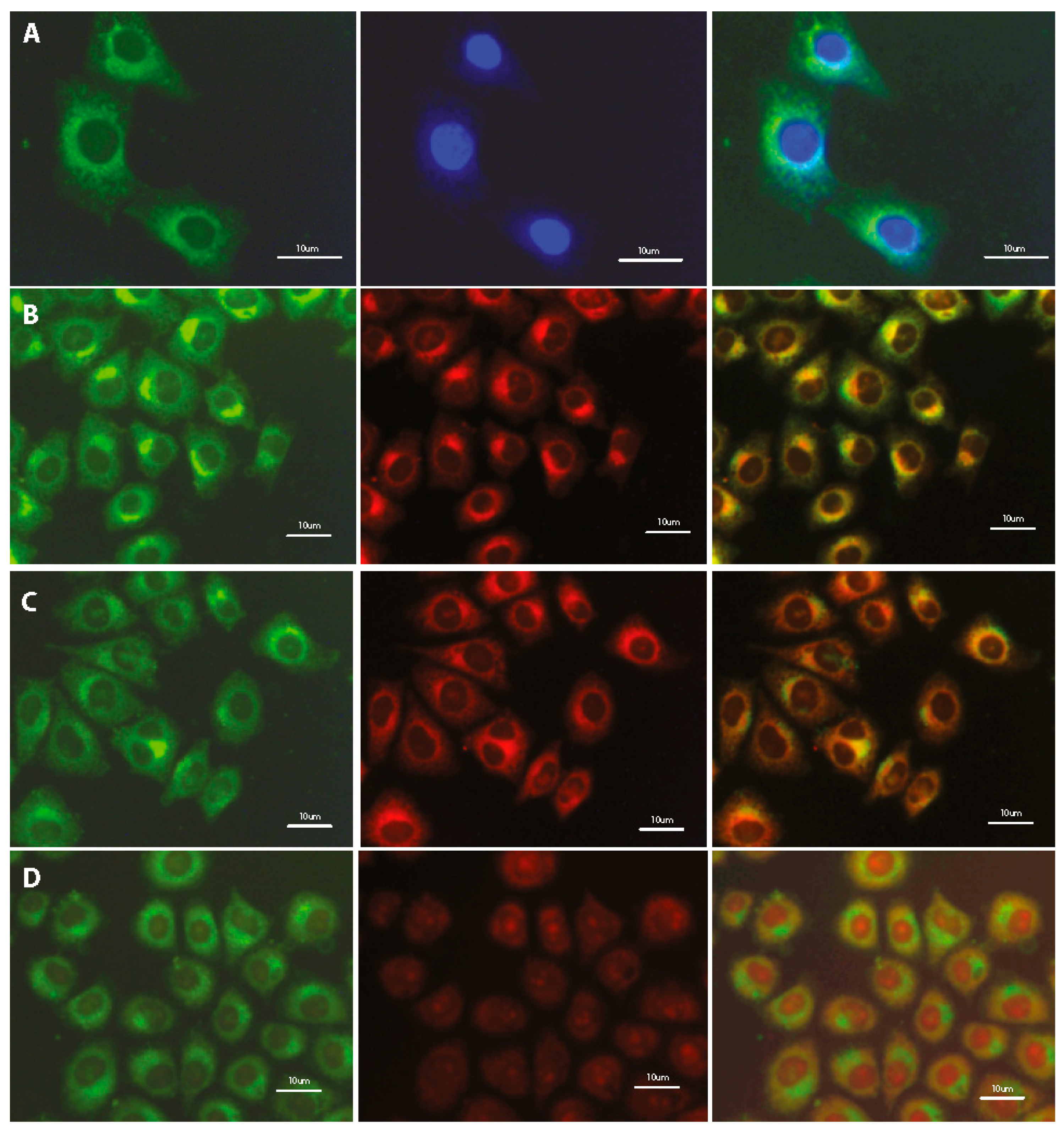 Materials 13 00951 g006