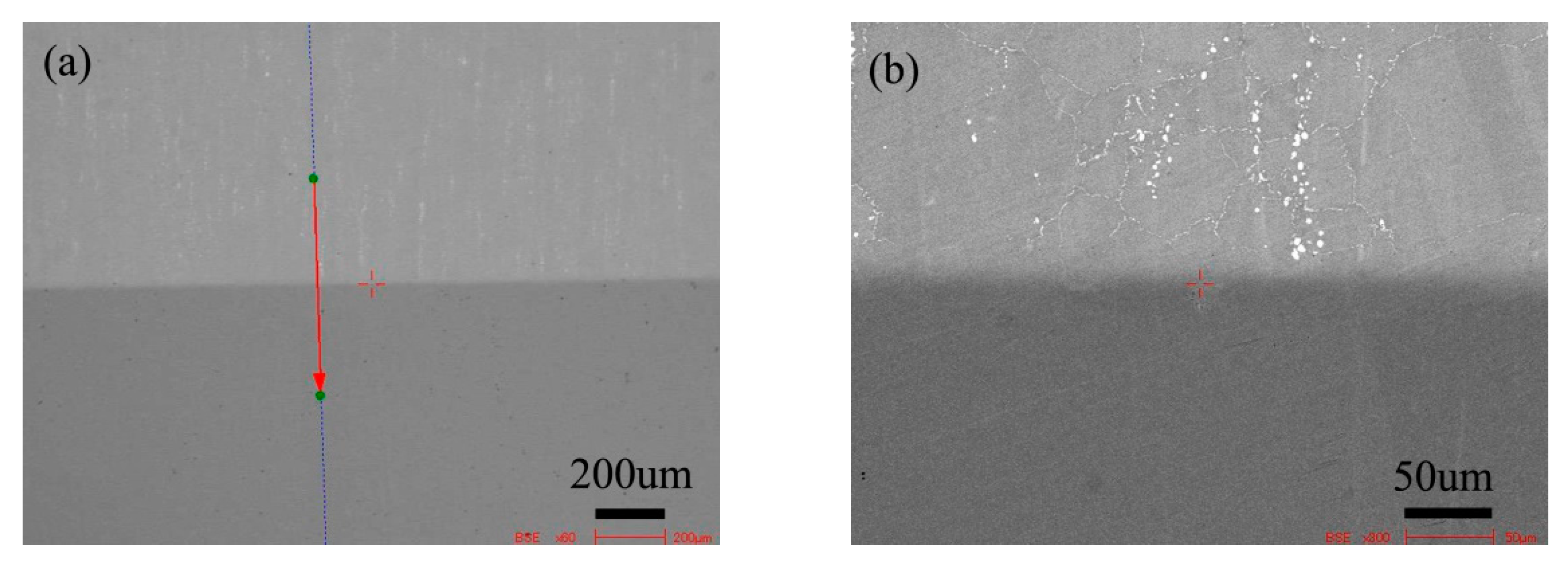 Materials 13 00959 g005