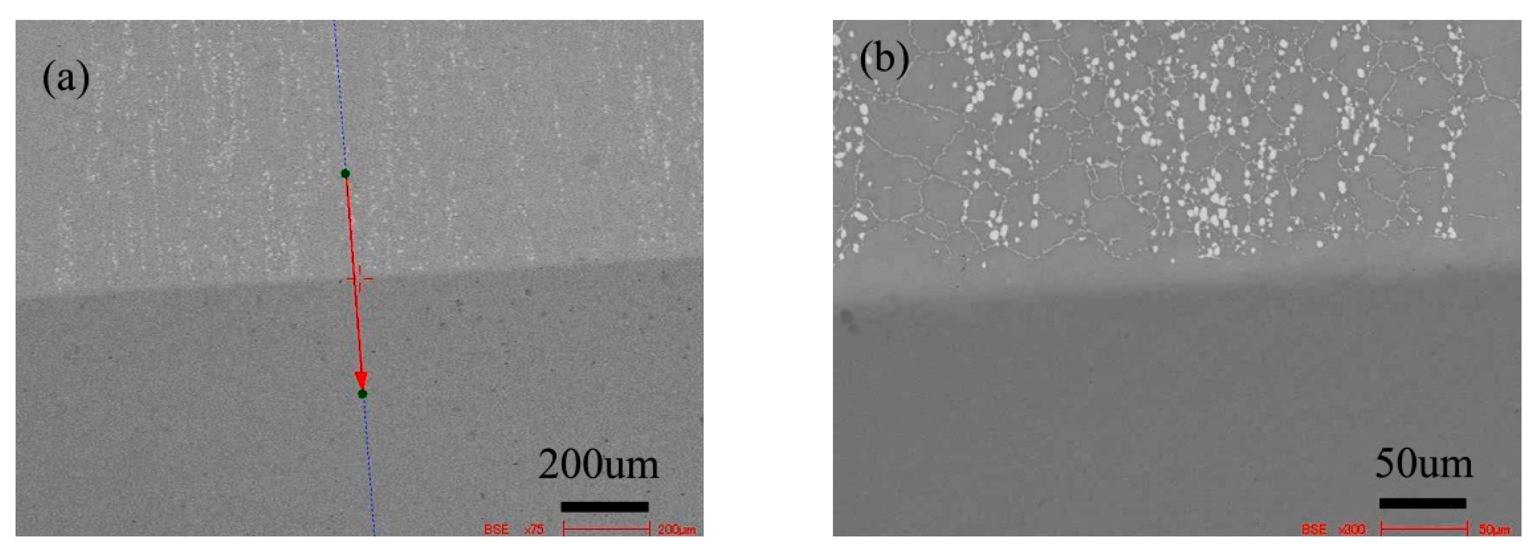 Materials 13 00959 g008