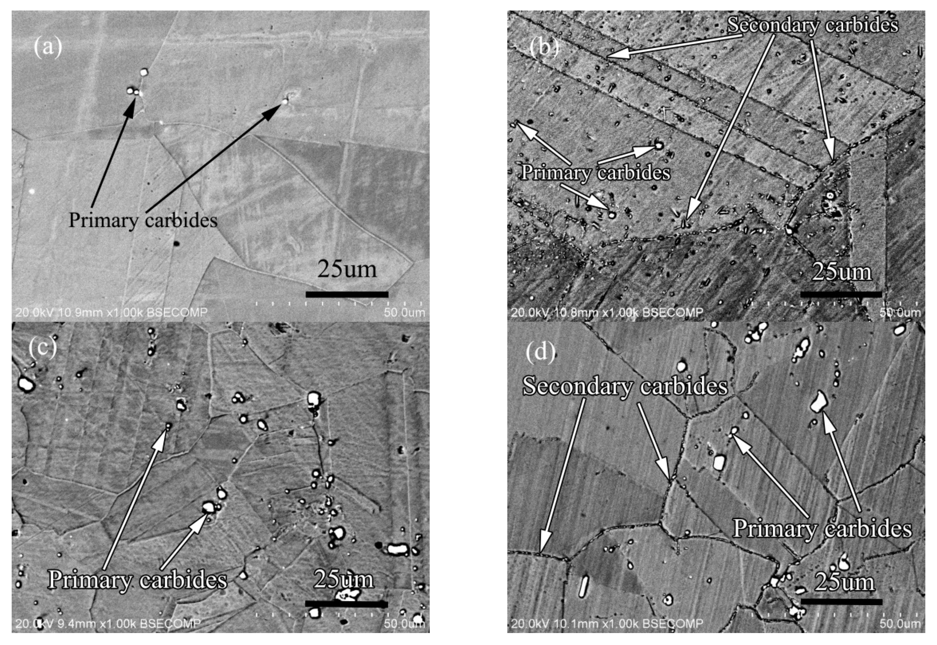 Materials 13 00959 g017